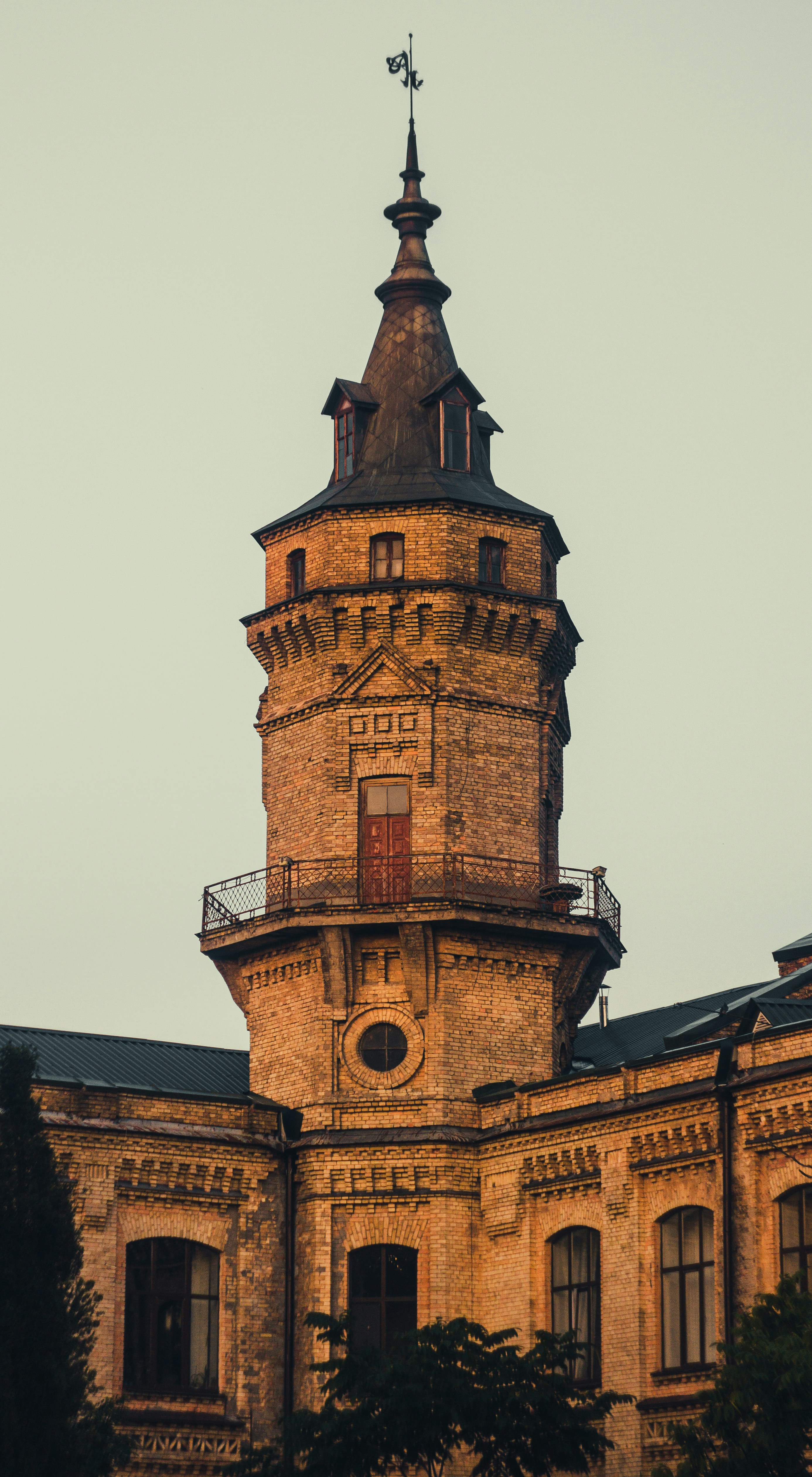 Photo by samoyedness