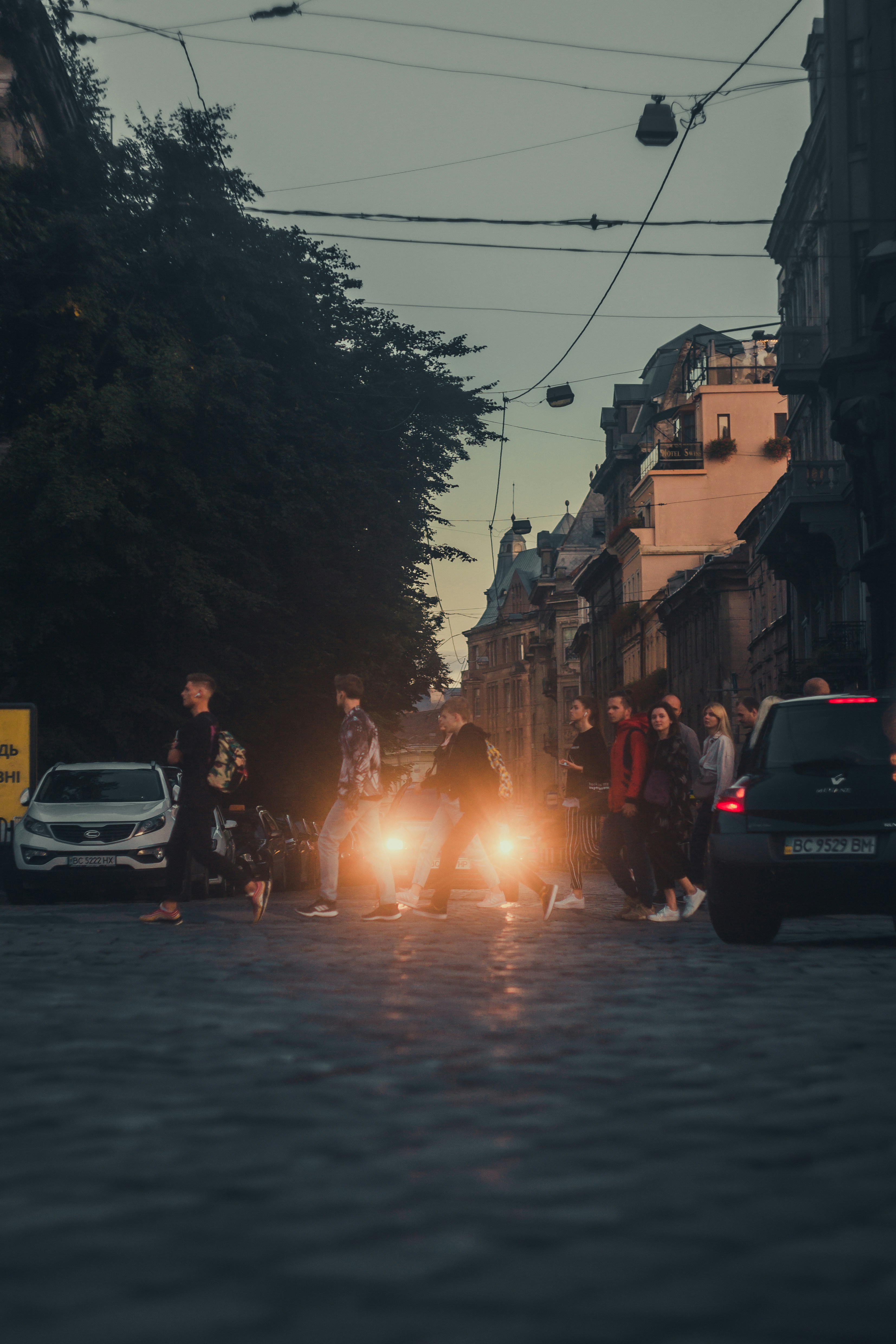 Photo by samoyedness