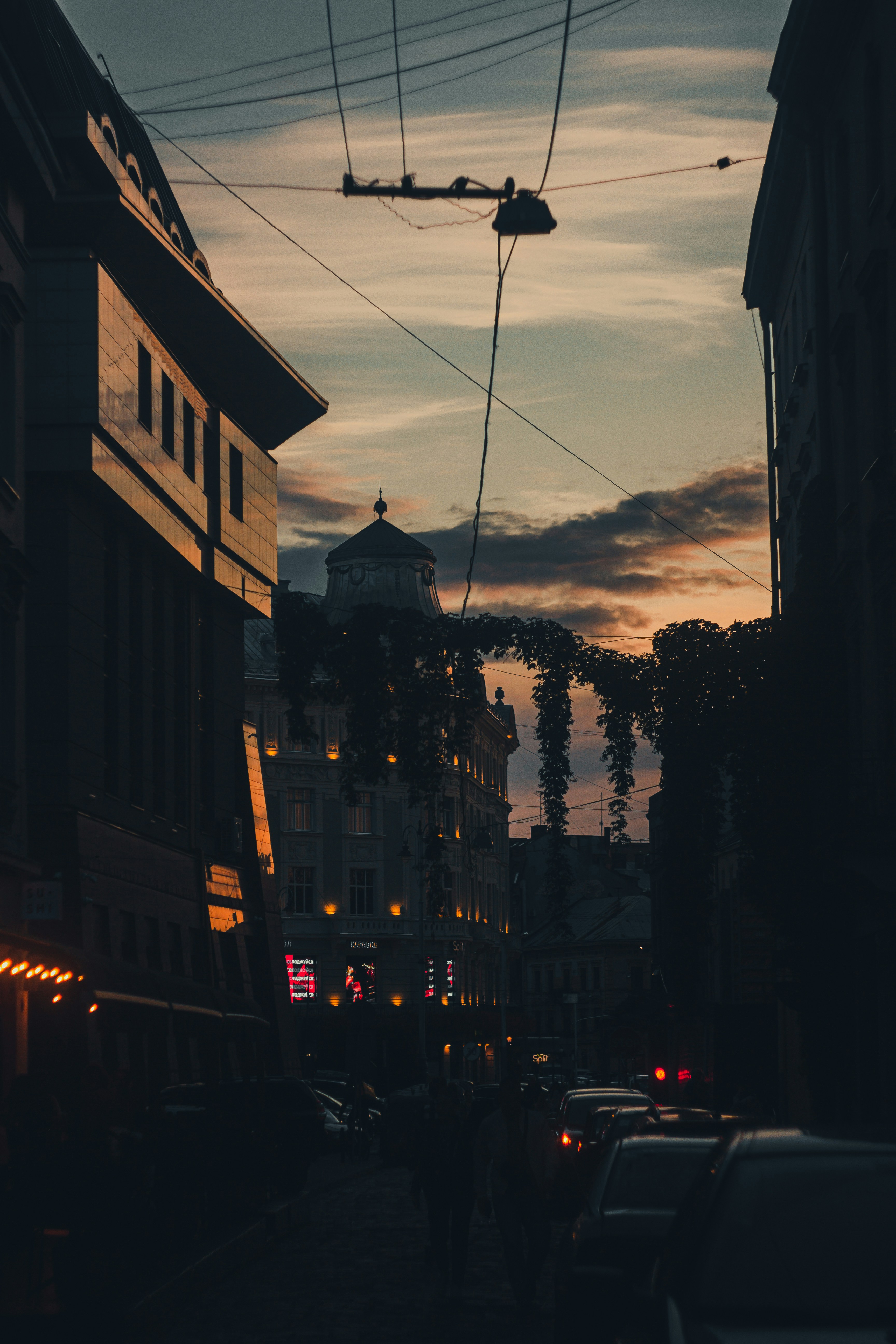 Photo by samoyedness