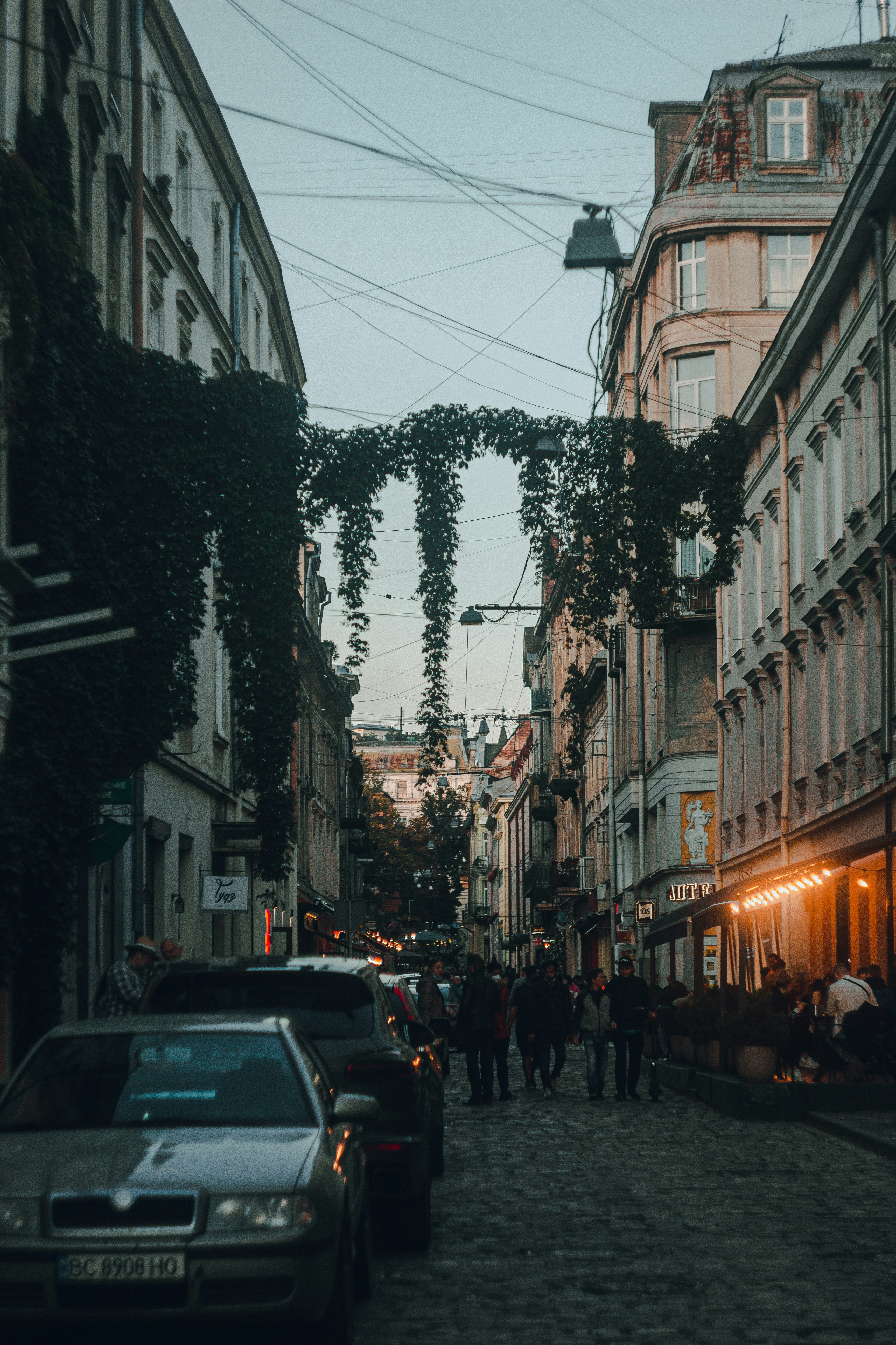 Photo by samoyedness