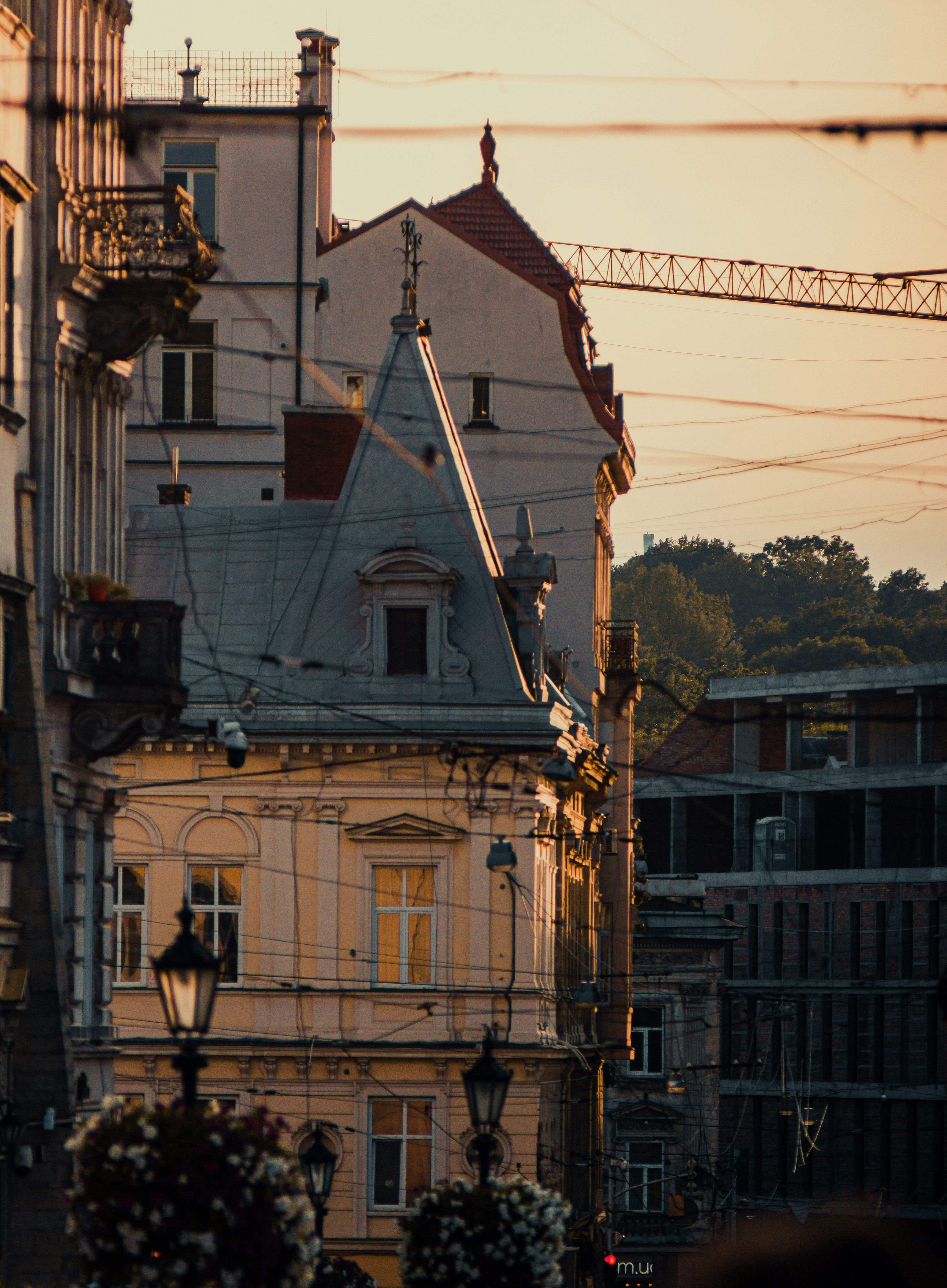 Photo by samoyedness