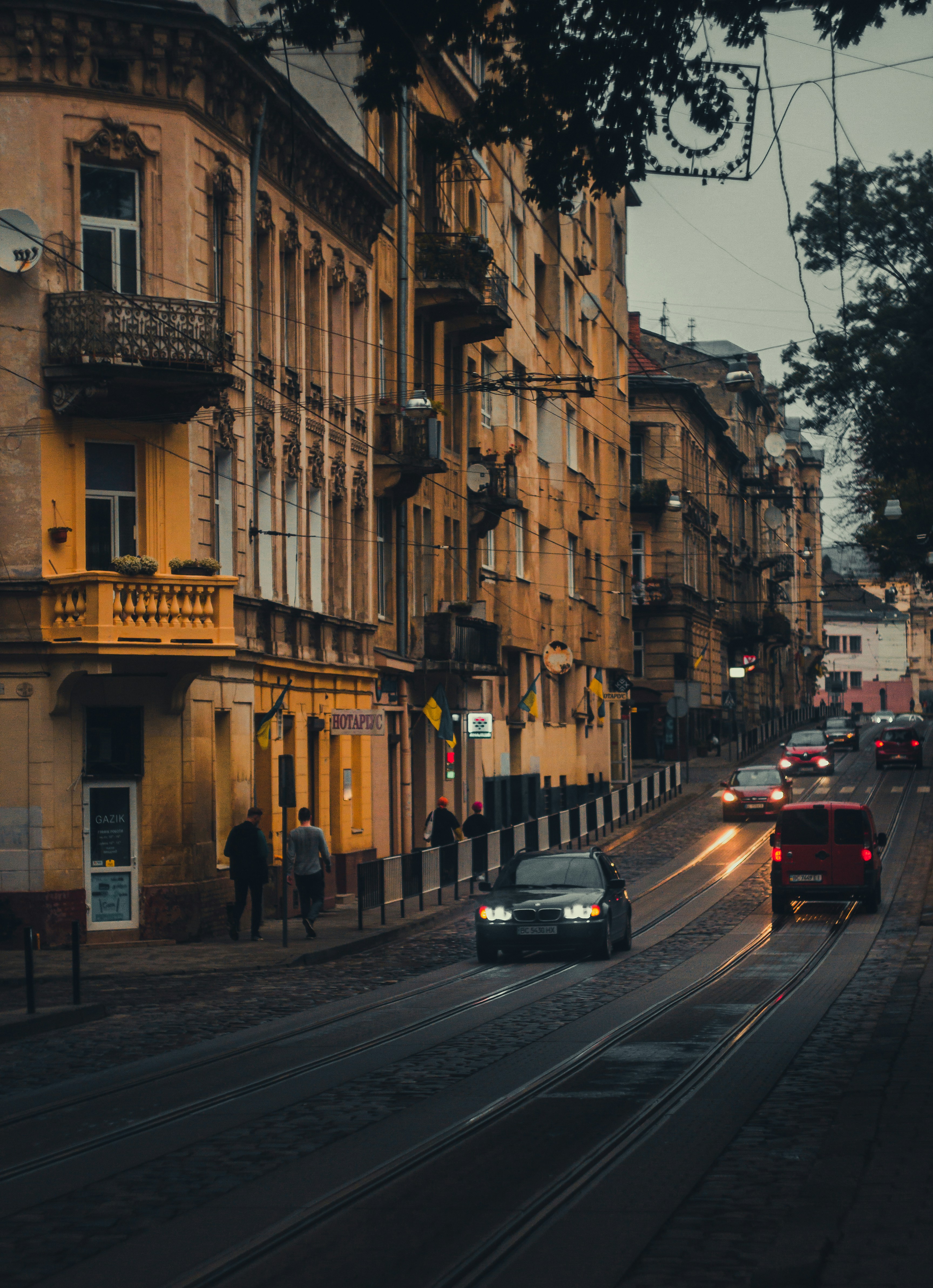 Photo by samoyedness