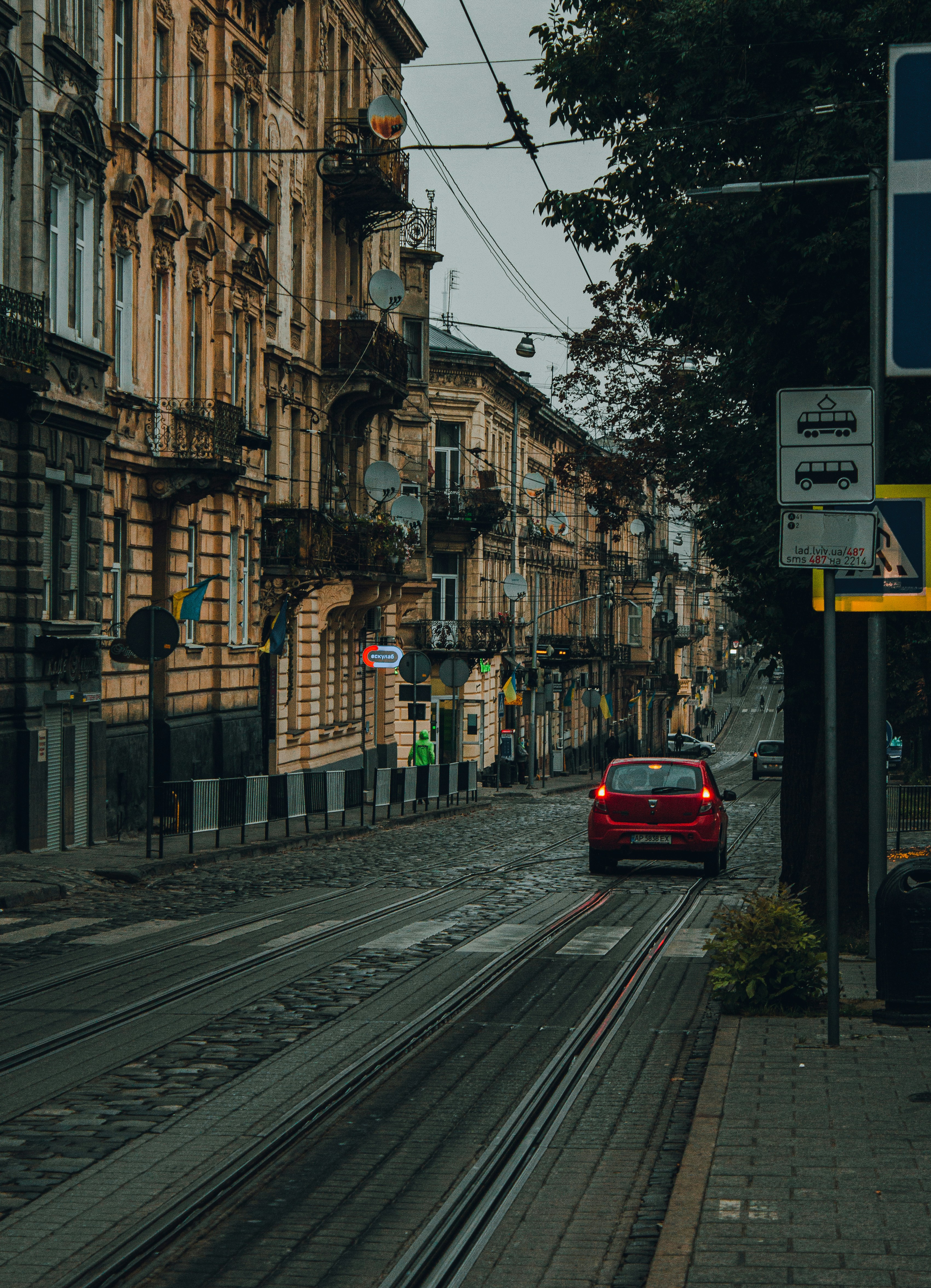 Photo by samoyedness