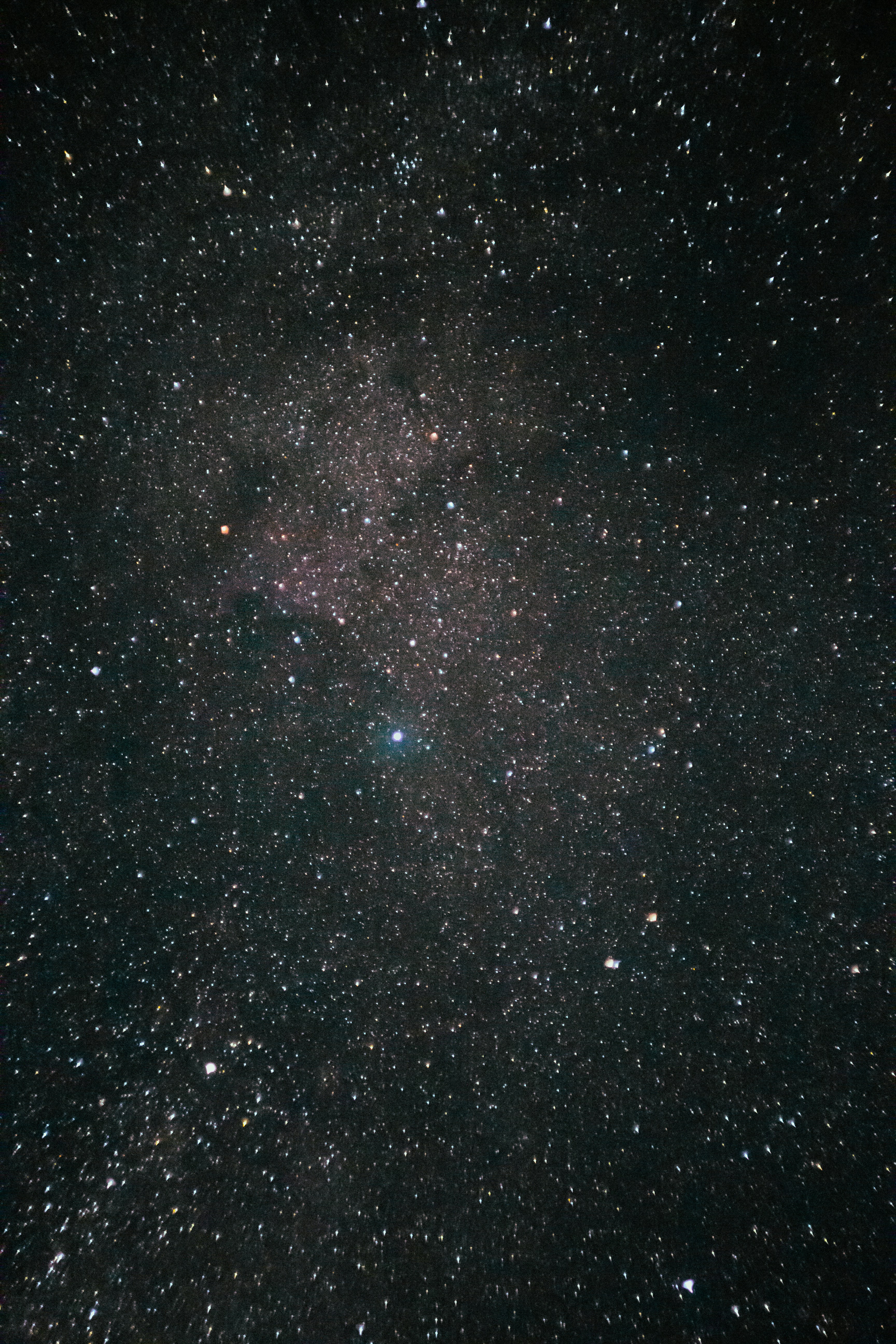 Photo by samoyedness