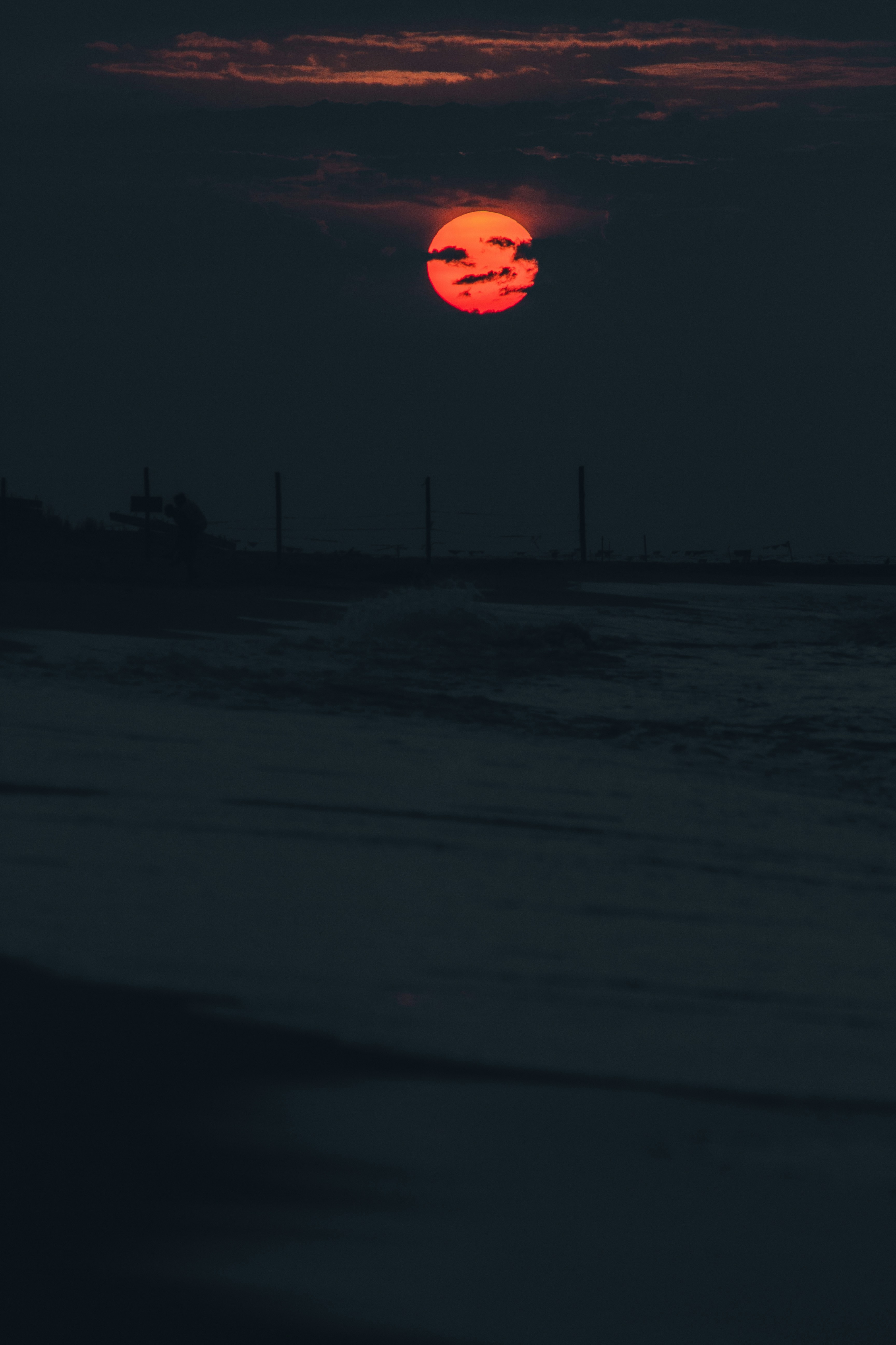 Photo by samoyedness