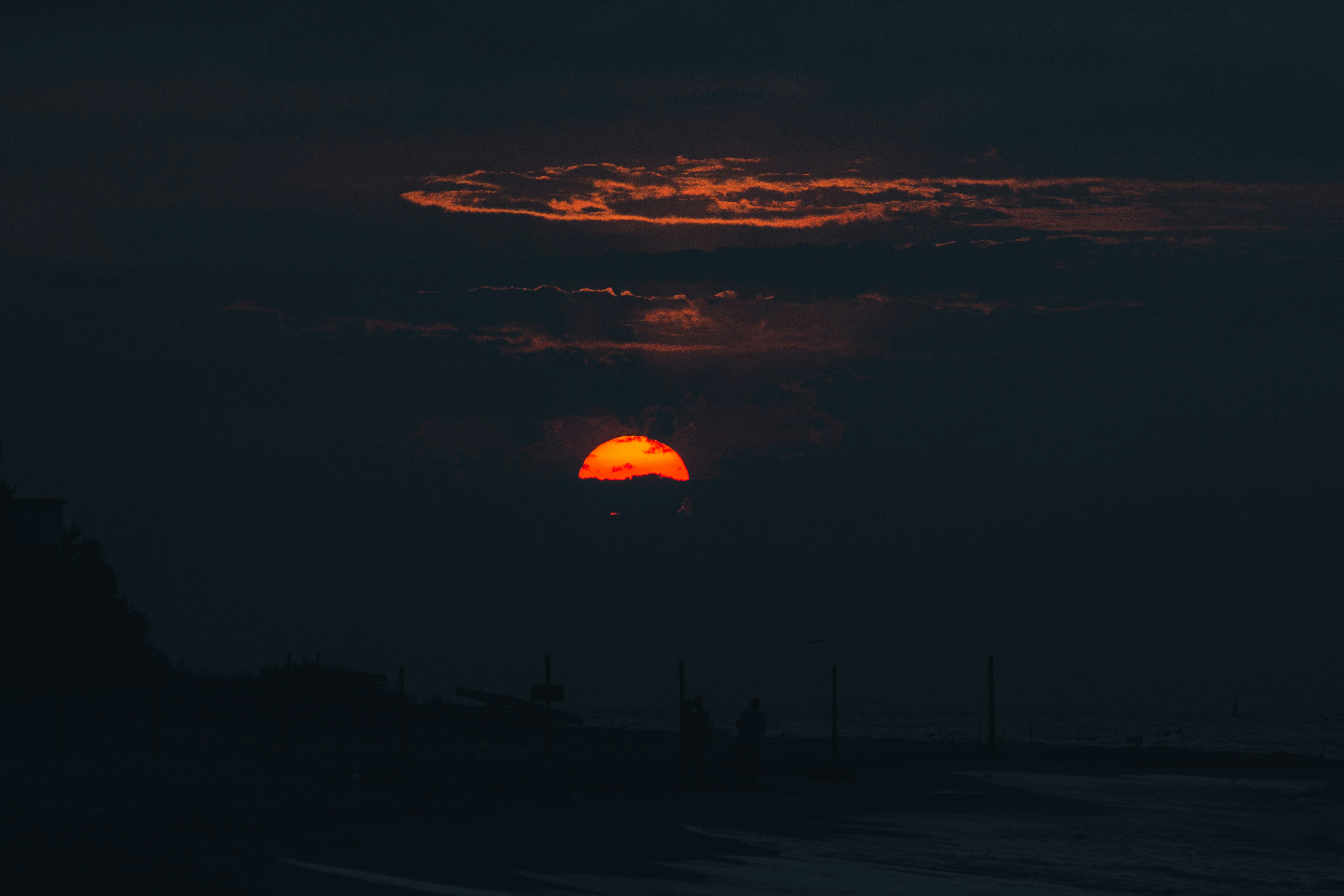 Photo by samoyedness