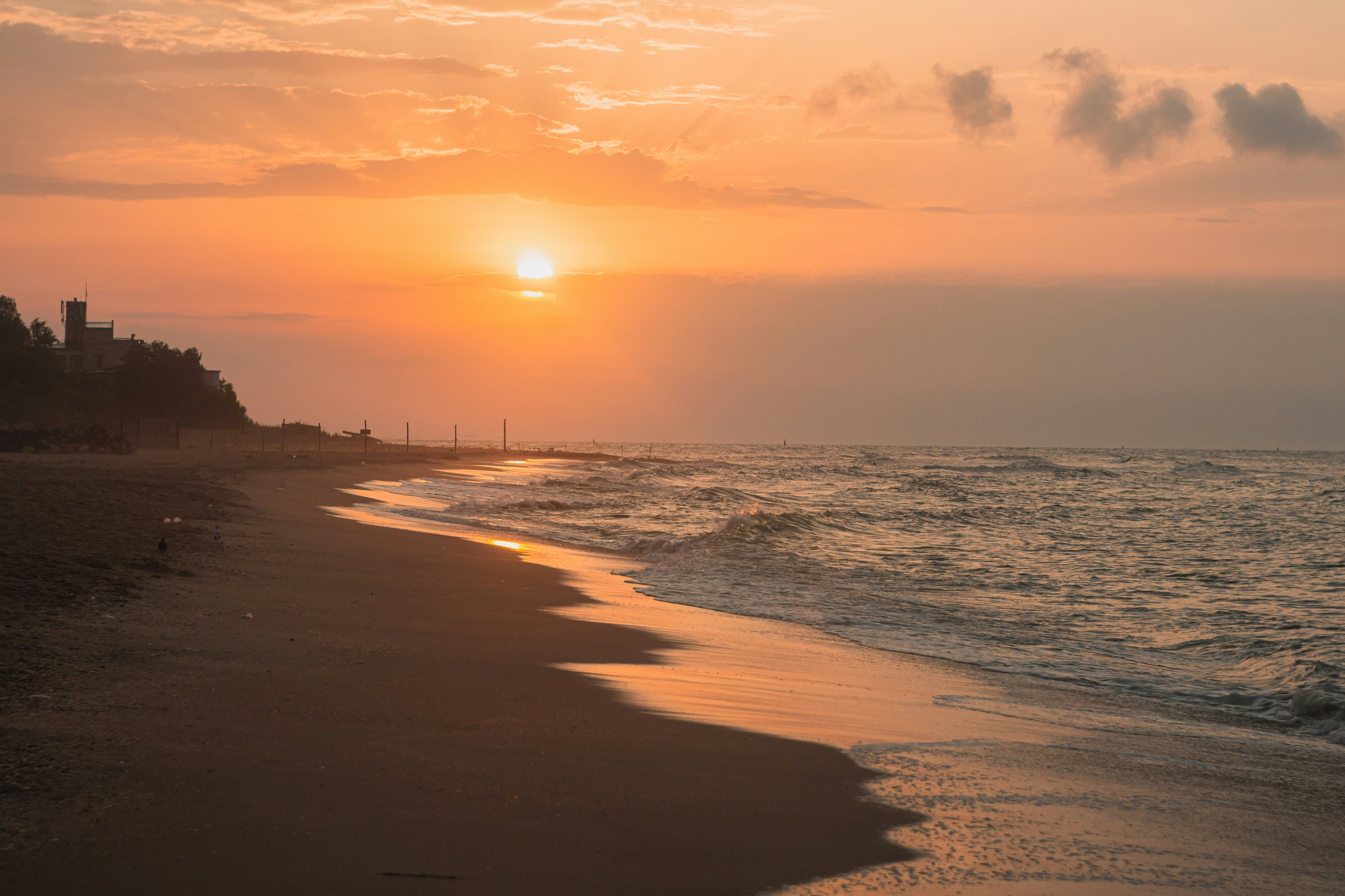 Photo by samoyedness