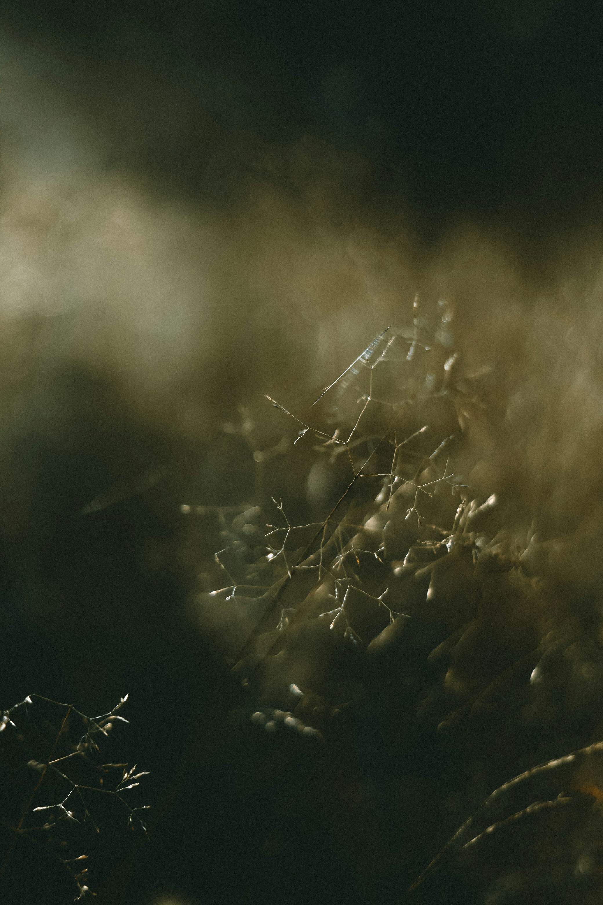 Photo by filipchenko