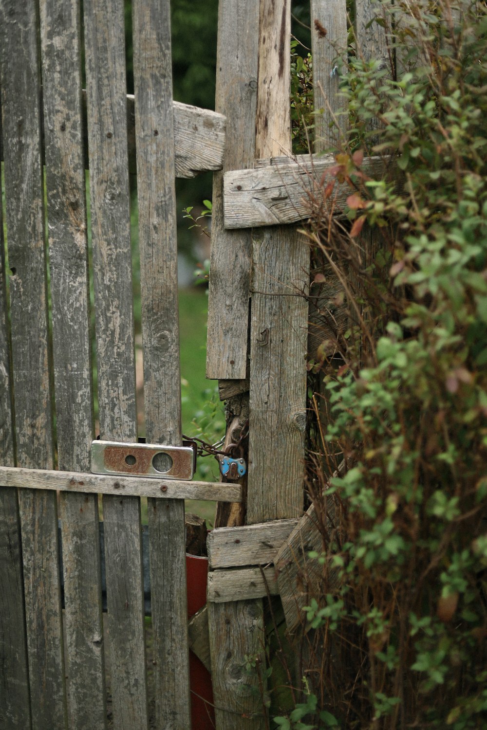 a wooden fence with a red bucket in it