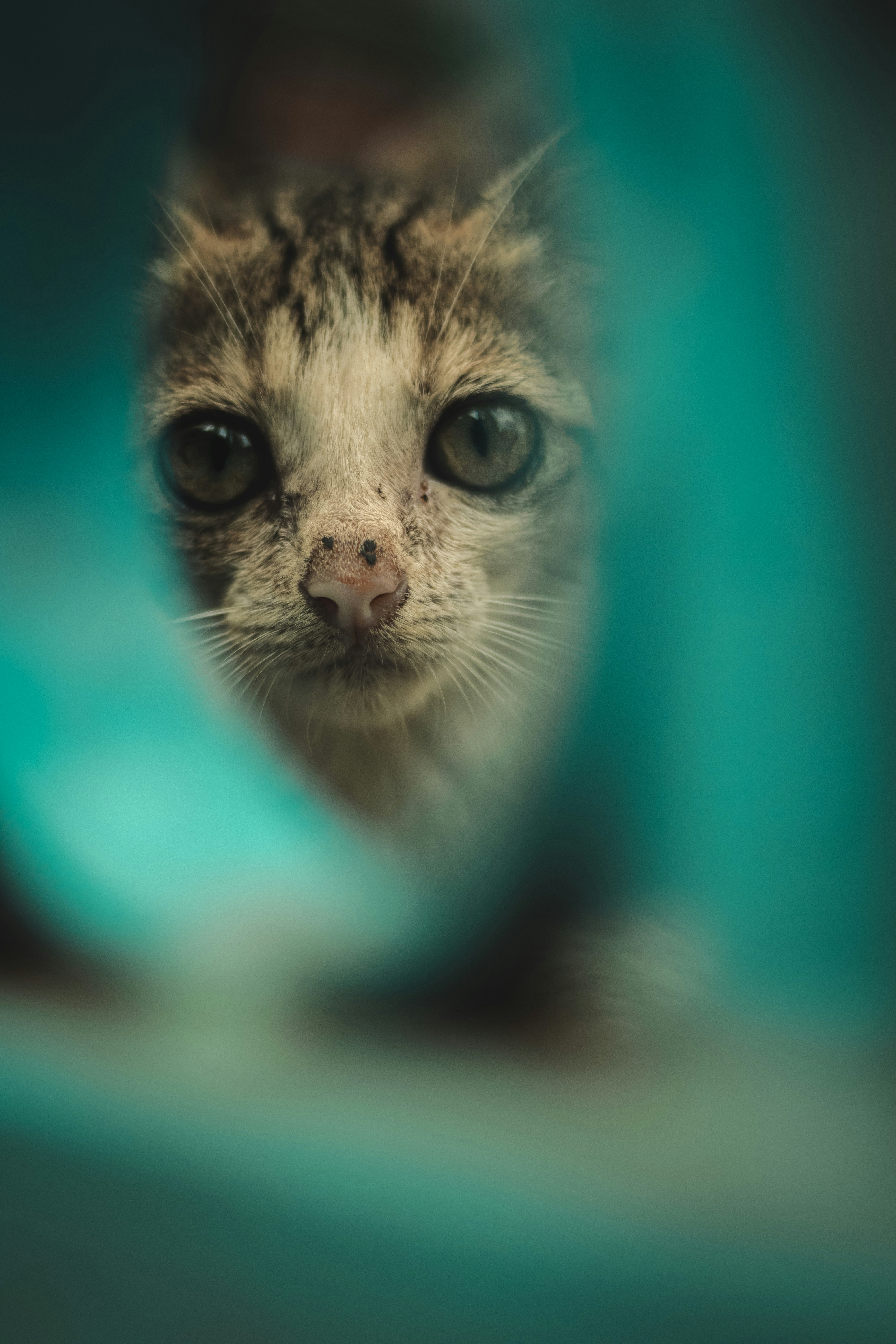 Photo by udayagastya77