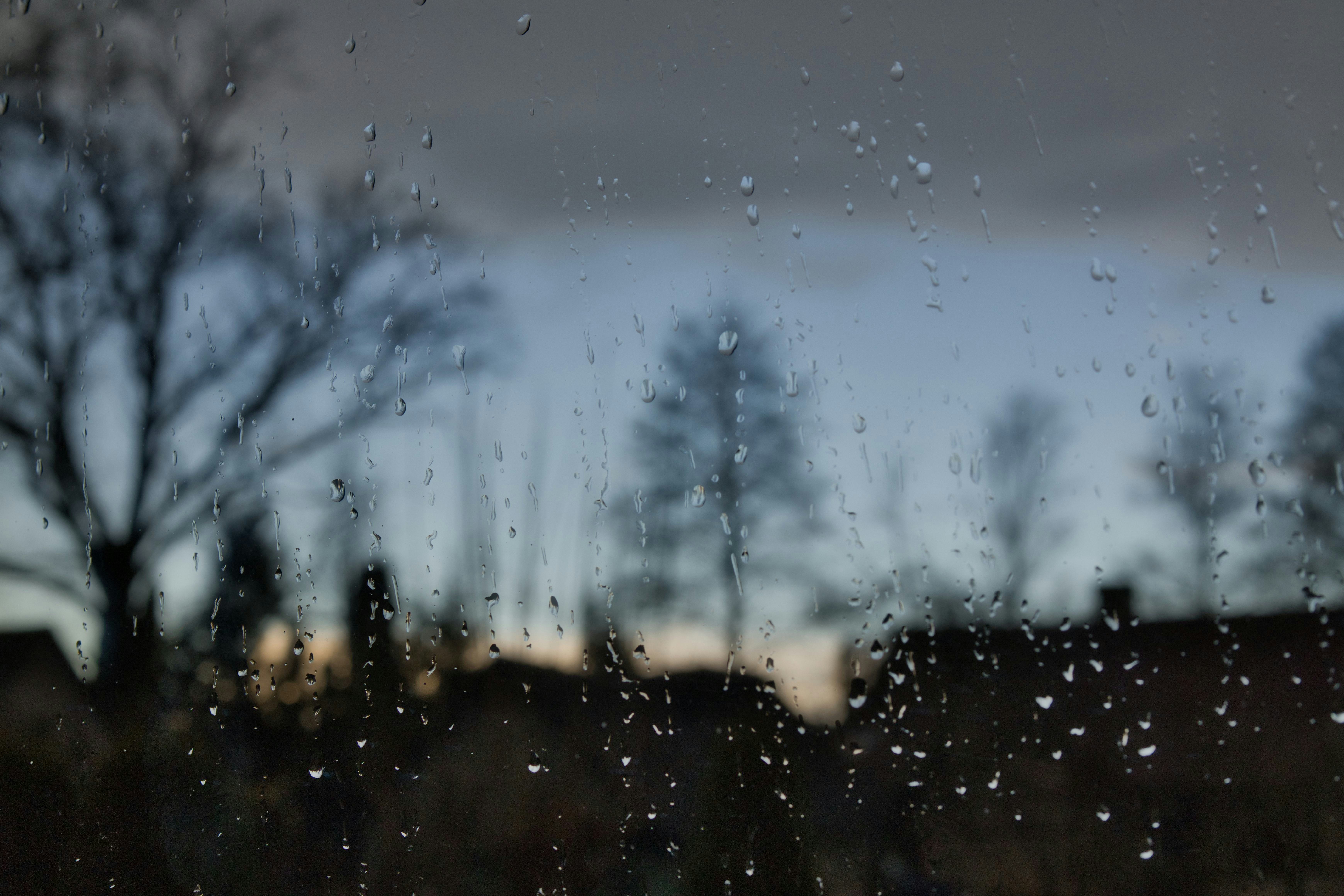 Photo by raimondklavins