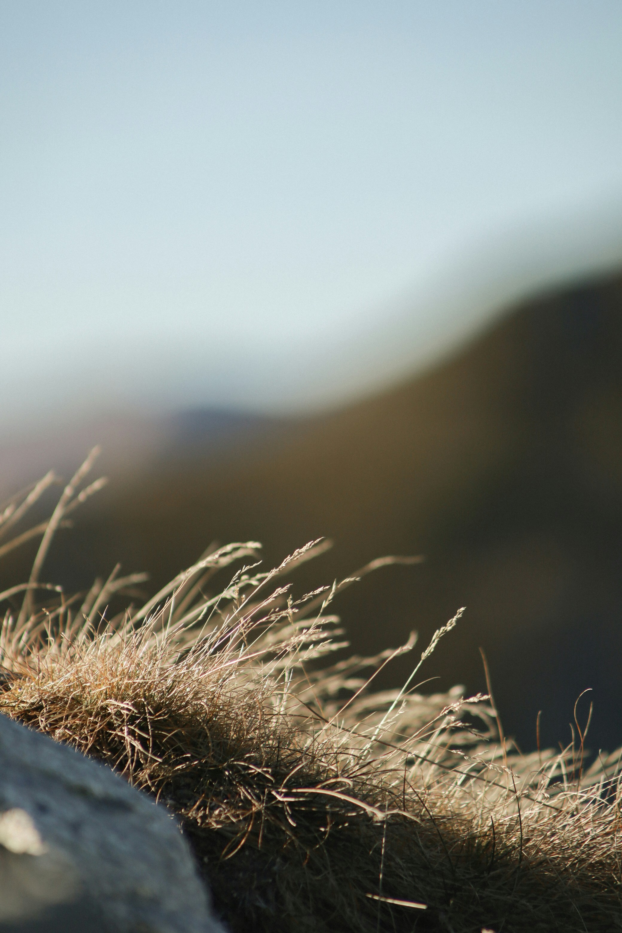 Photo by filipchenko