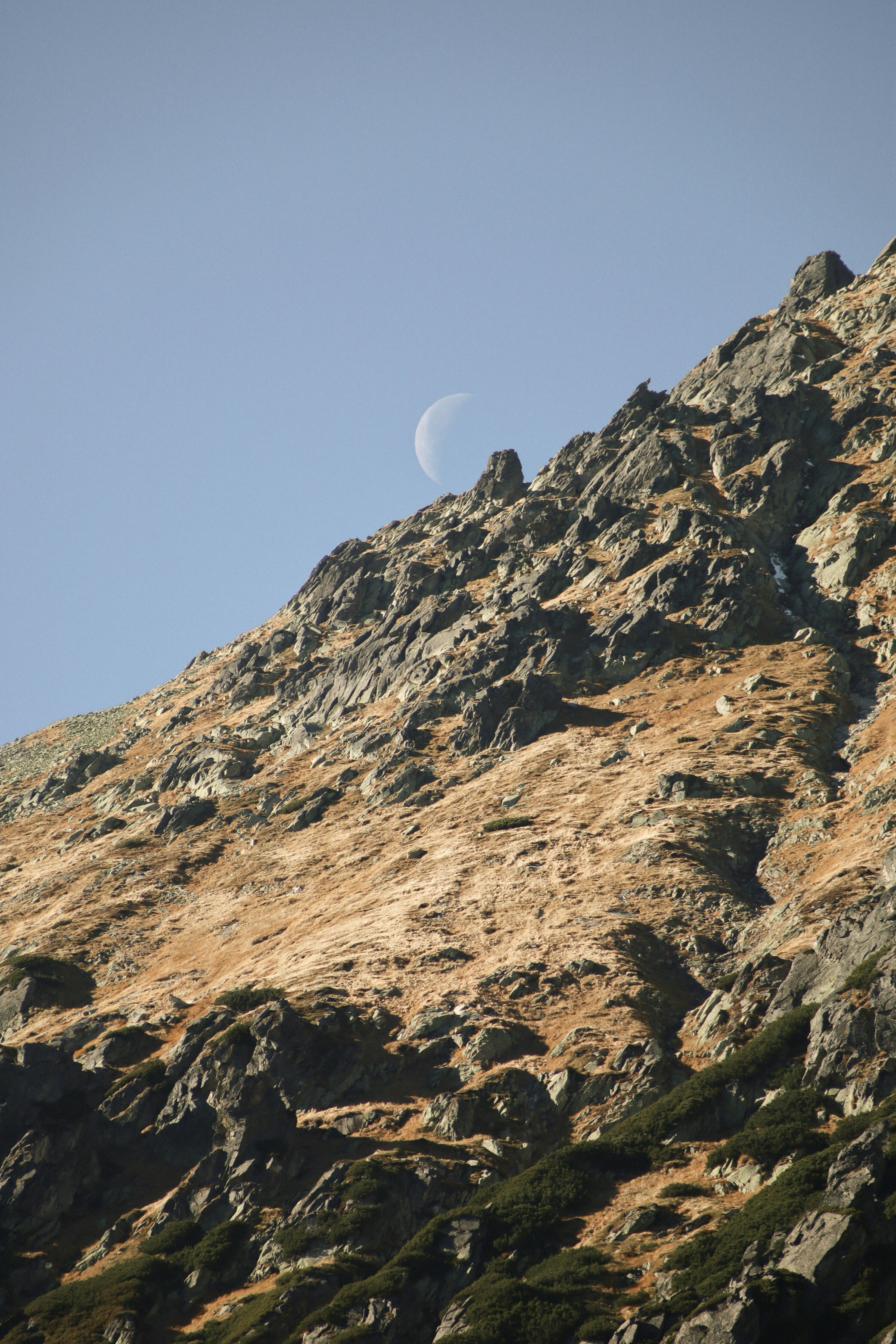 Photo by filipchenko