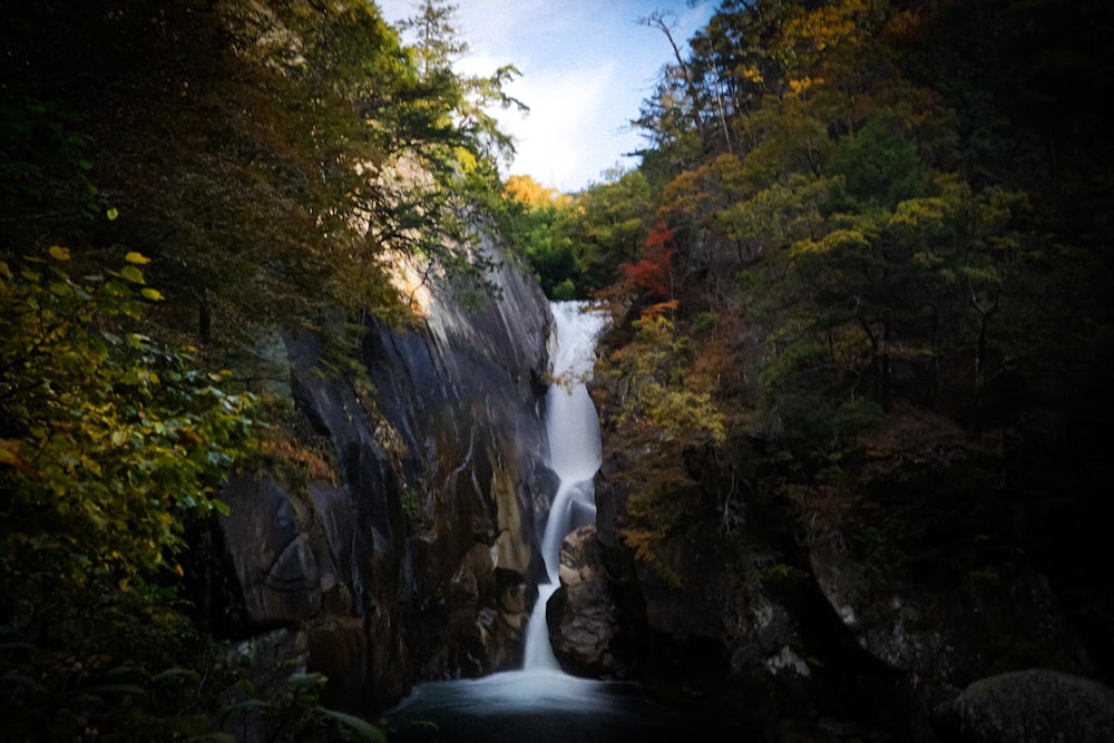 a waterfall in the middle of a forest