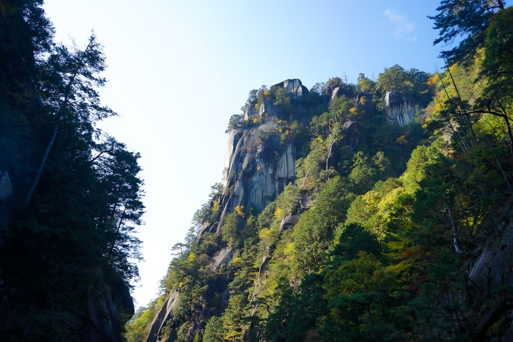 una vista de una montaña con árboles en el lado de ella