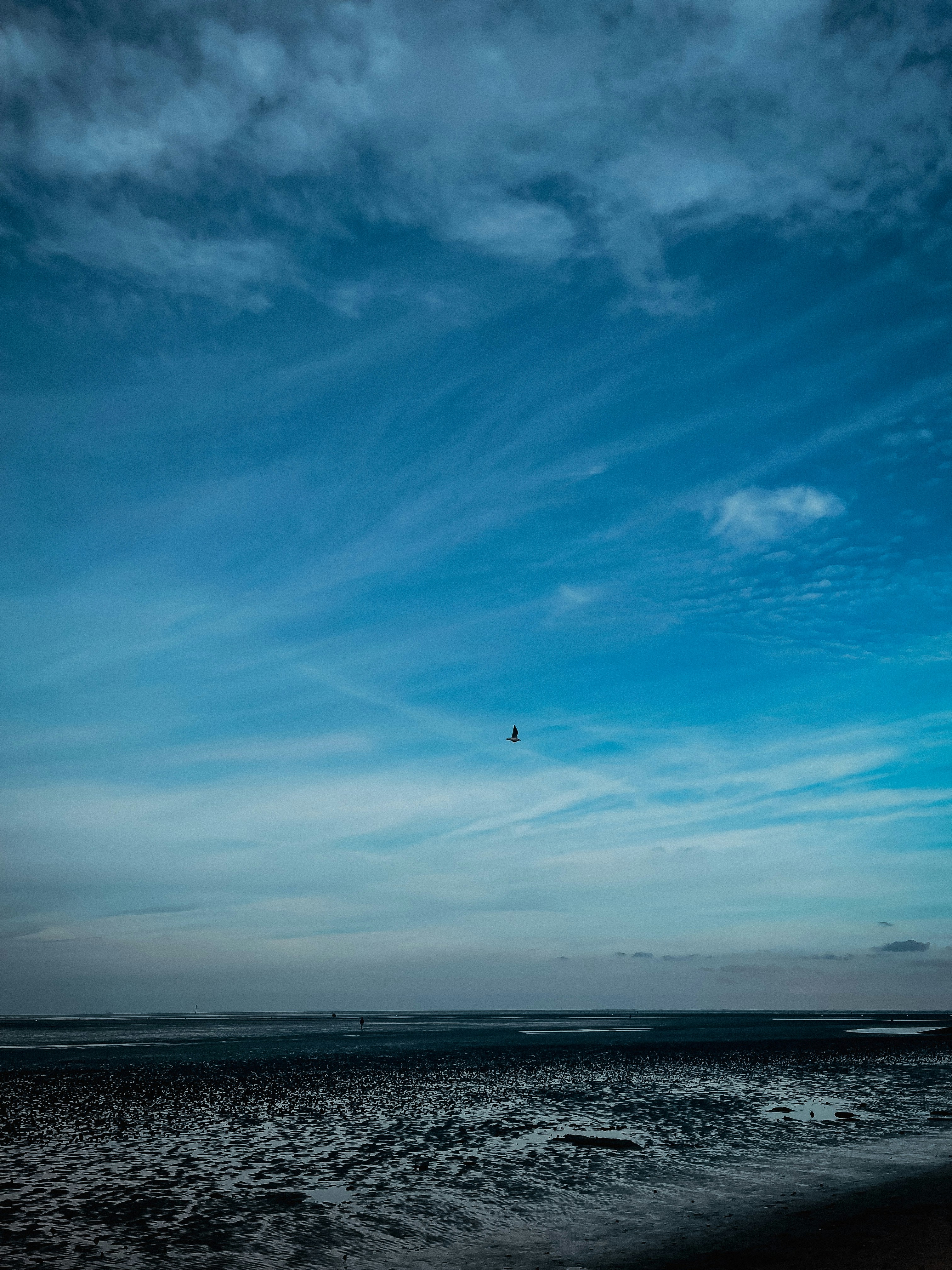 Photo by cloudett