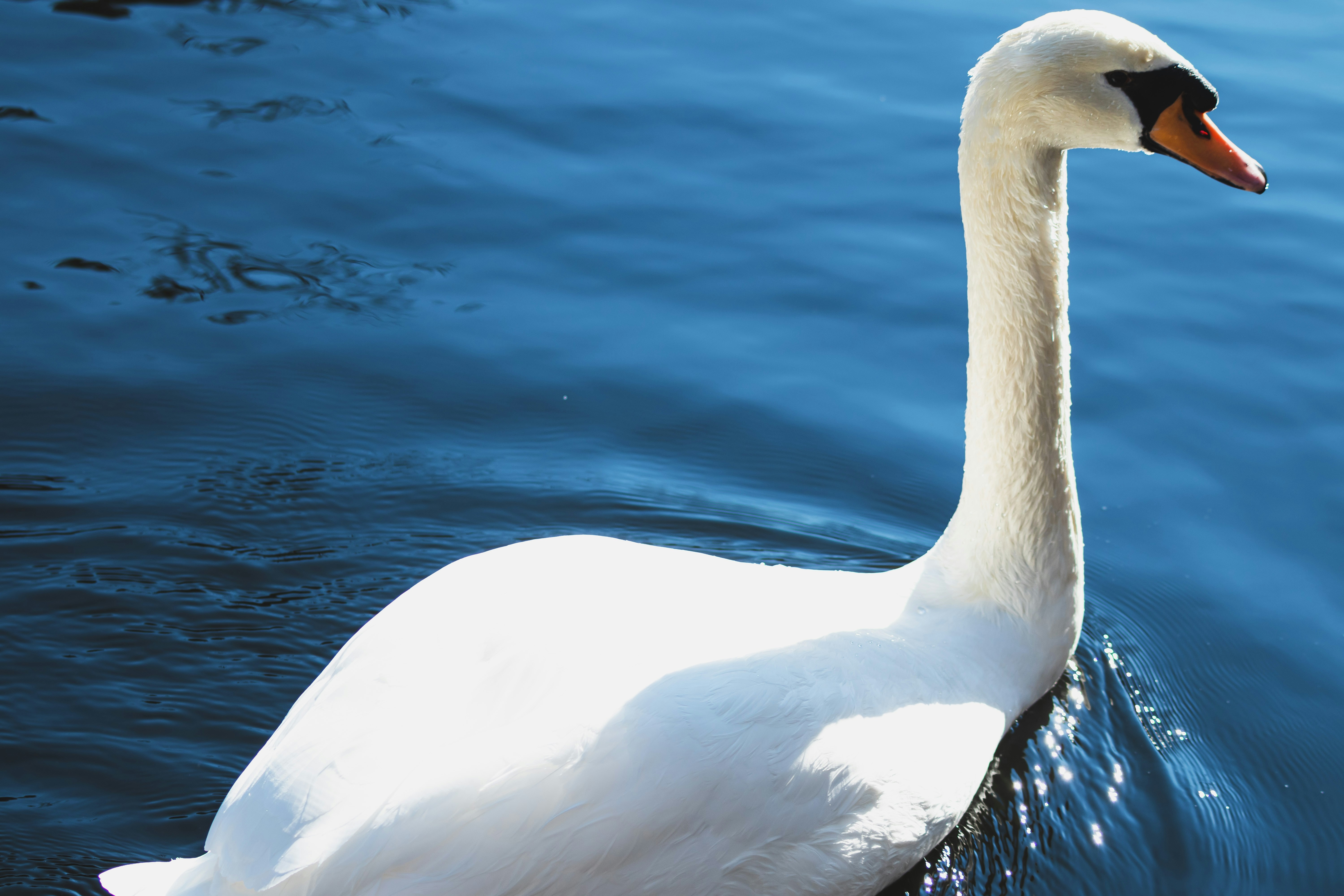 Photo by marco_pregnolato