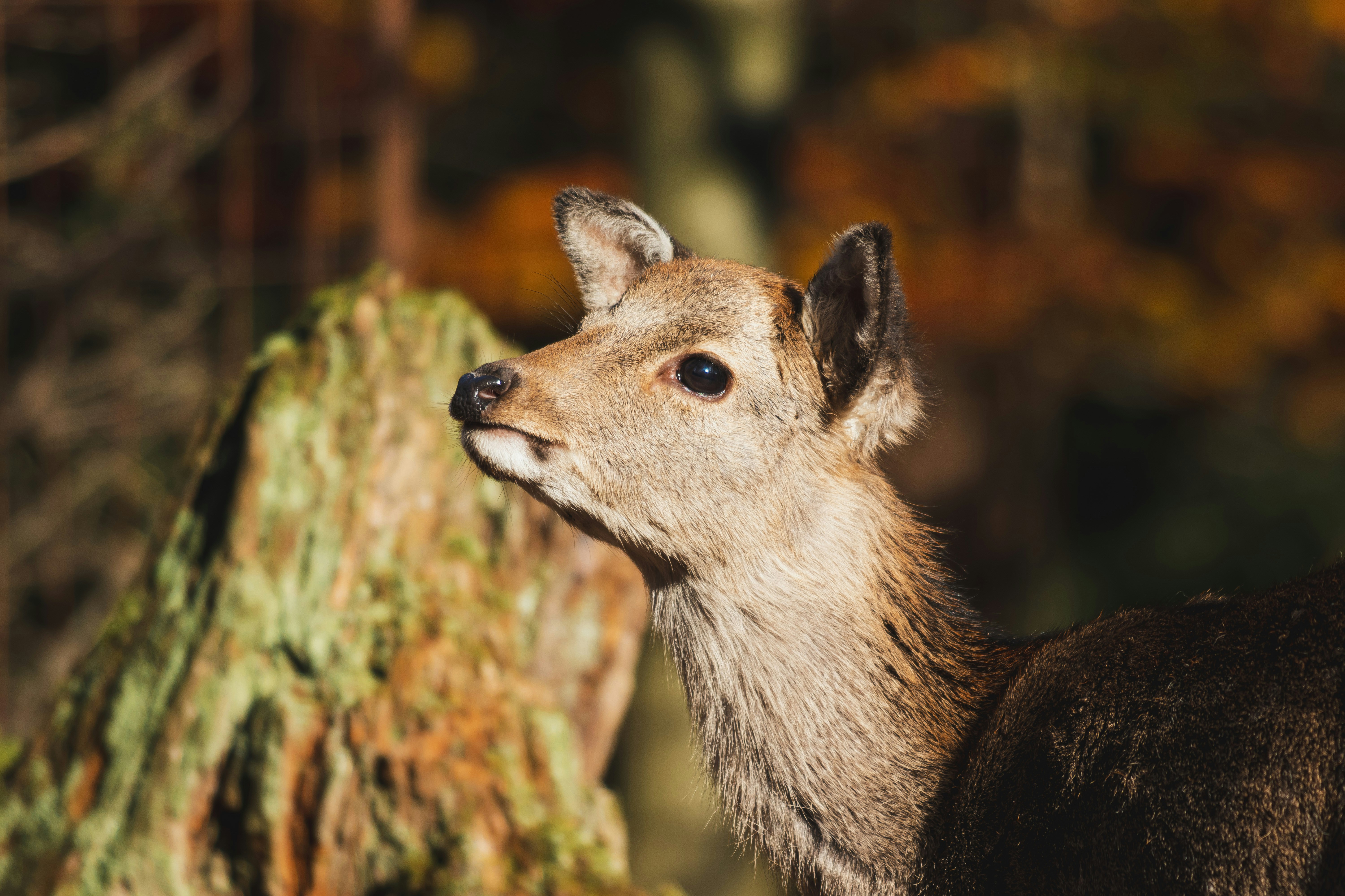 Photo by marco_pregnolato