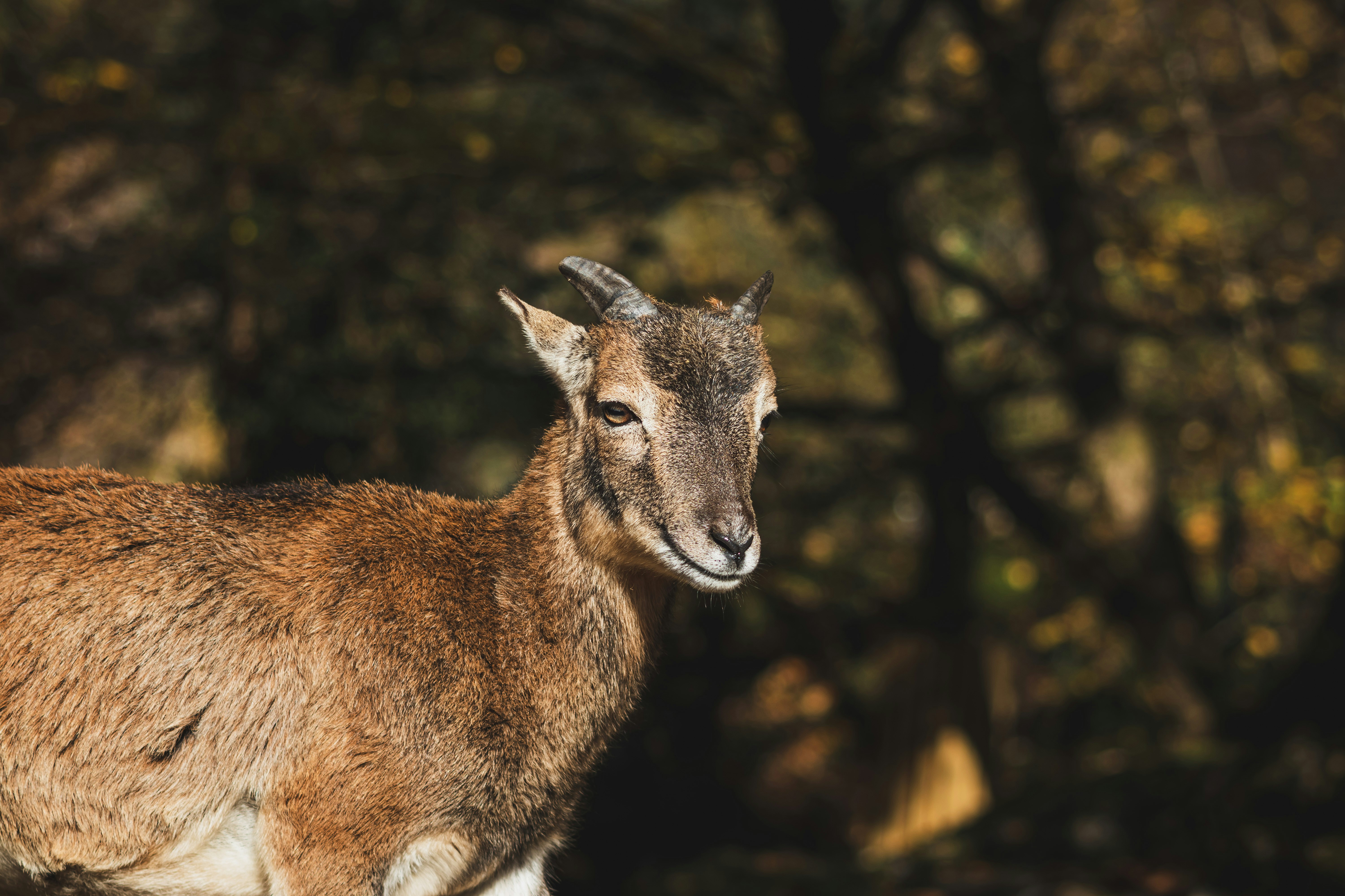 Photo by marco_pregnolato