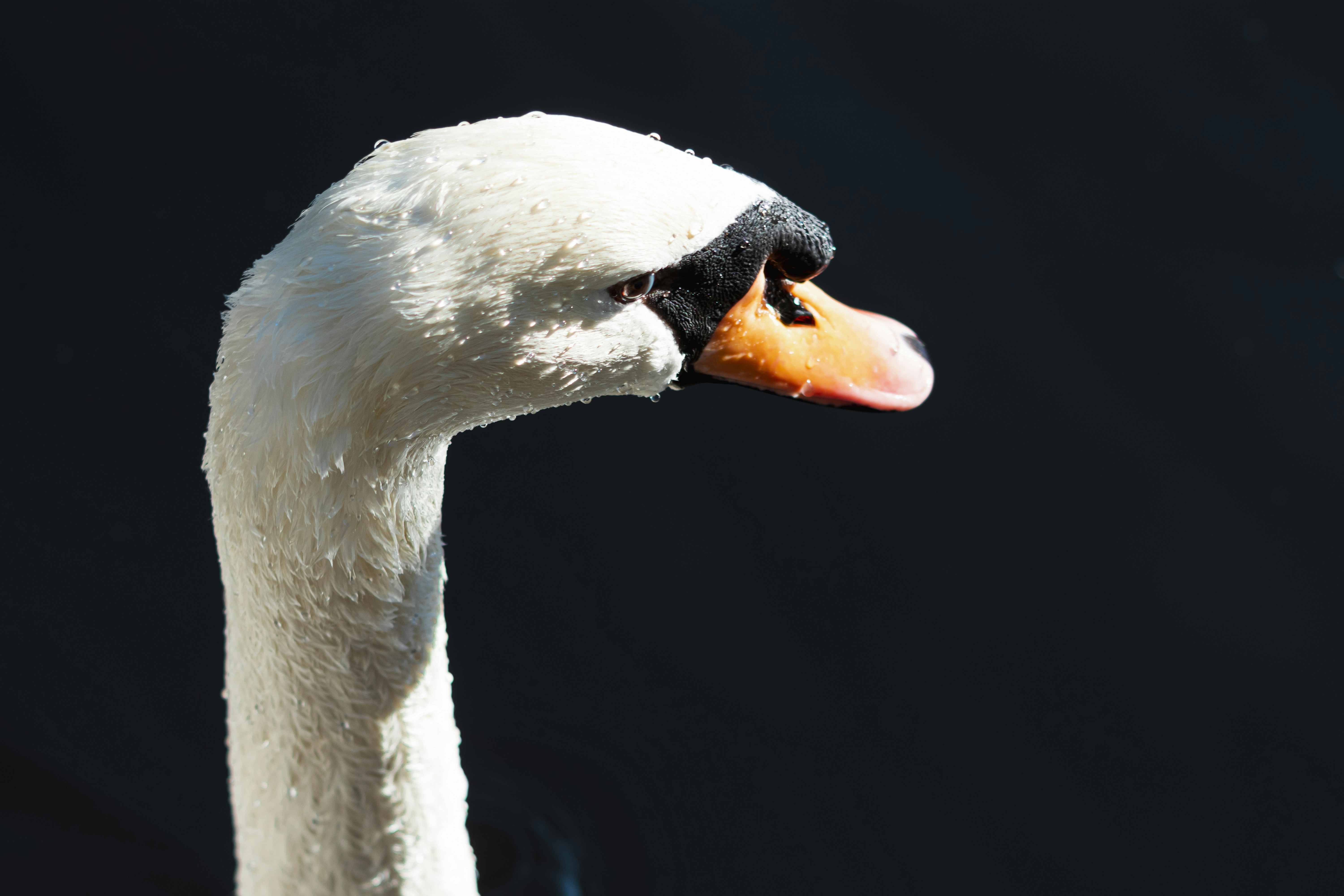 Photo by marco_pregnolato