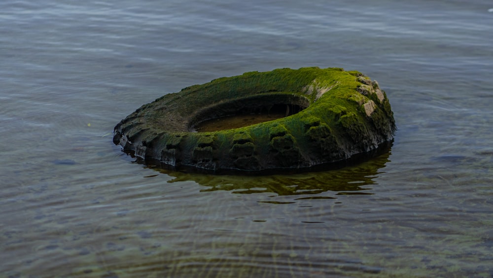 a tire in the middle of the water