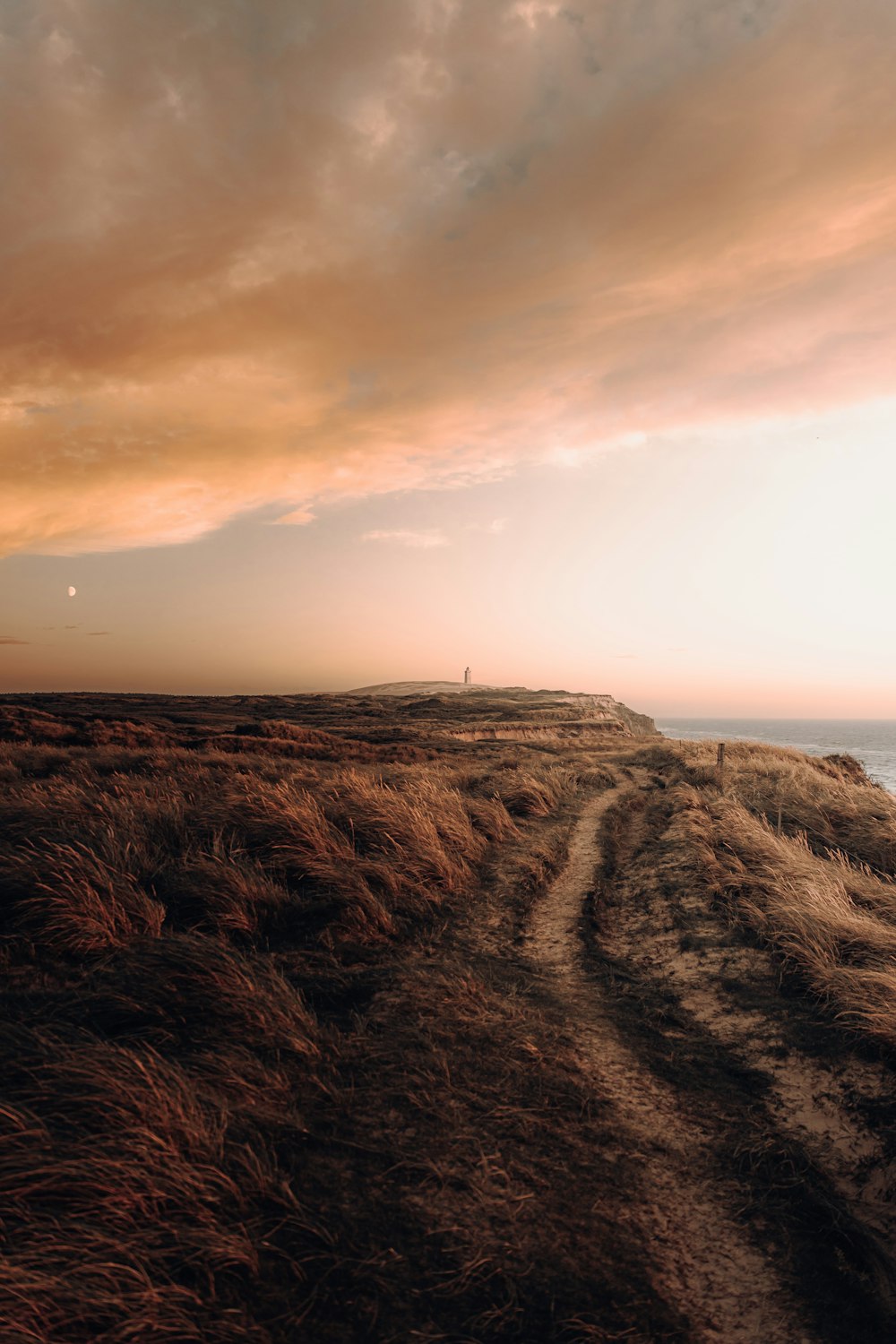 a dirt path leading to the ocean under a cloudy sky