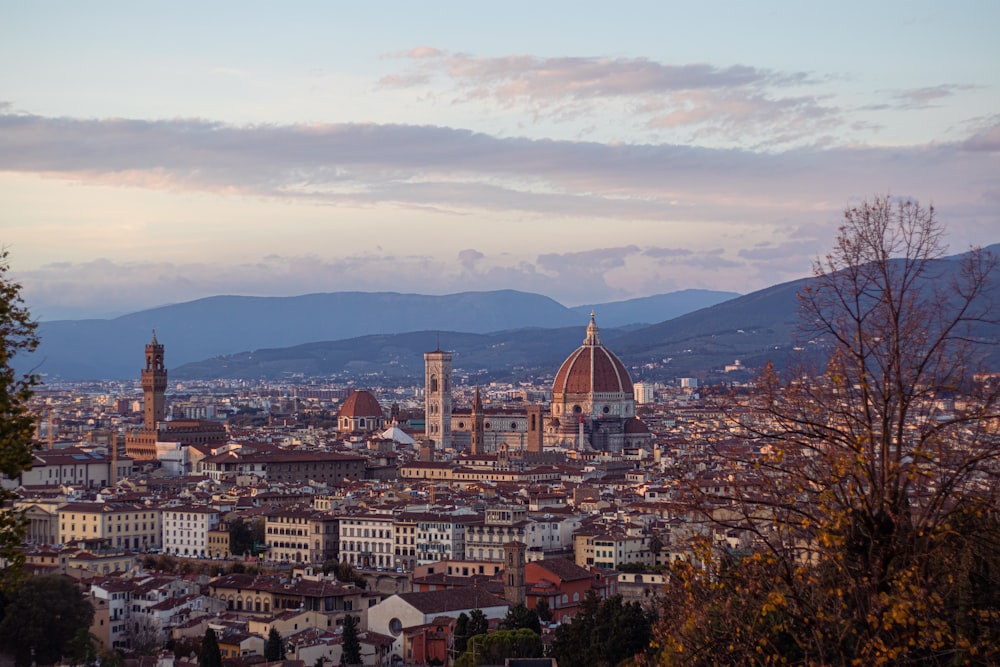 a view of a city with mountains in the background