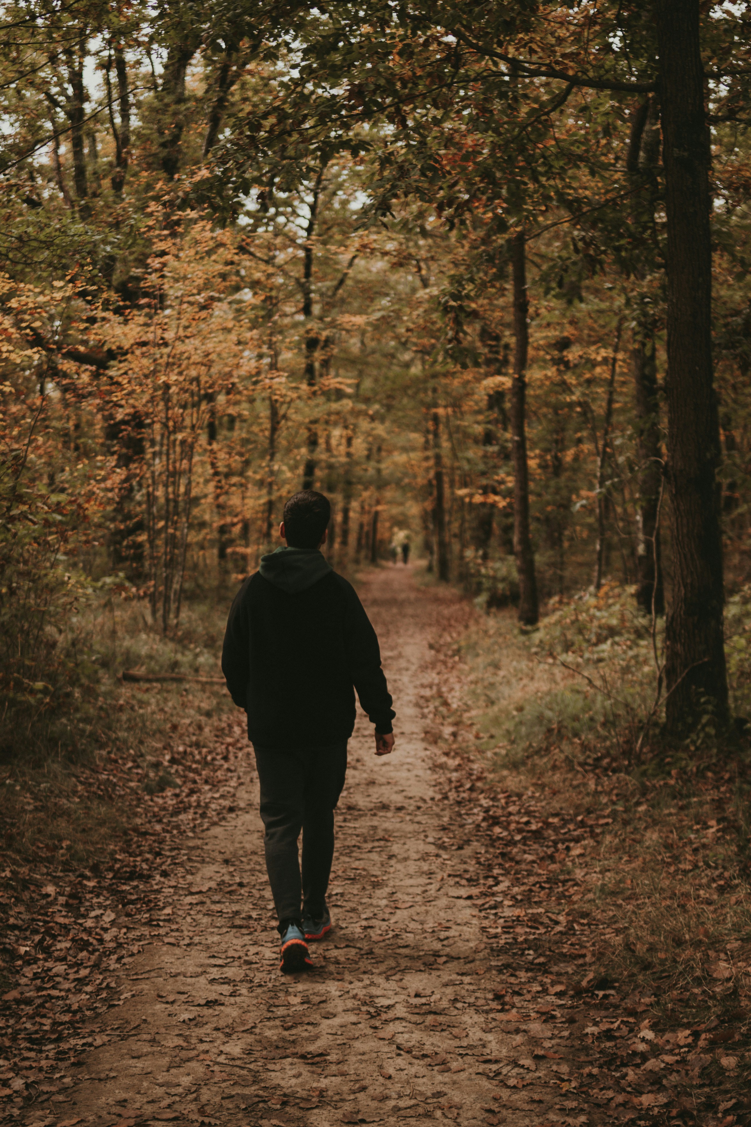 a person walking down a path in the woods