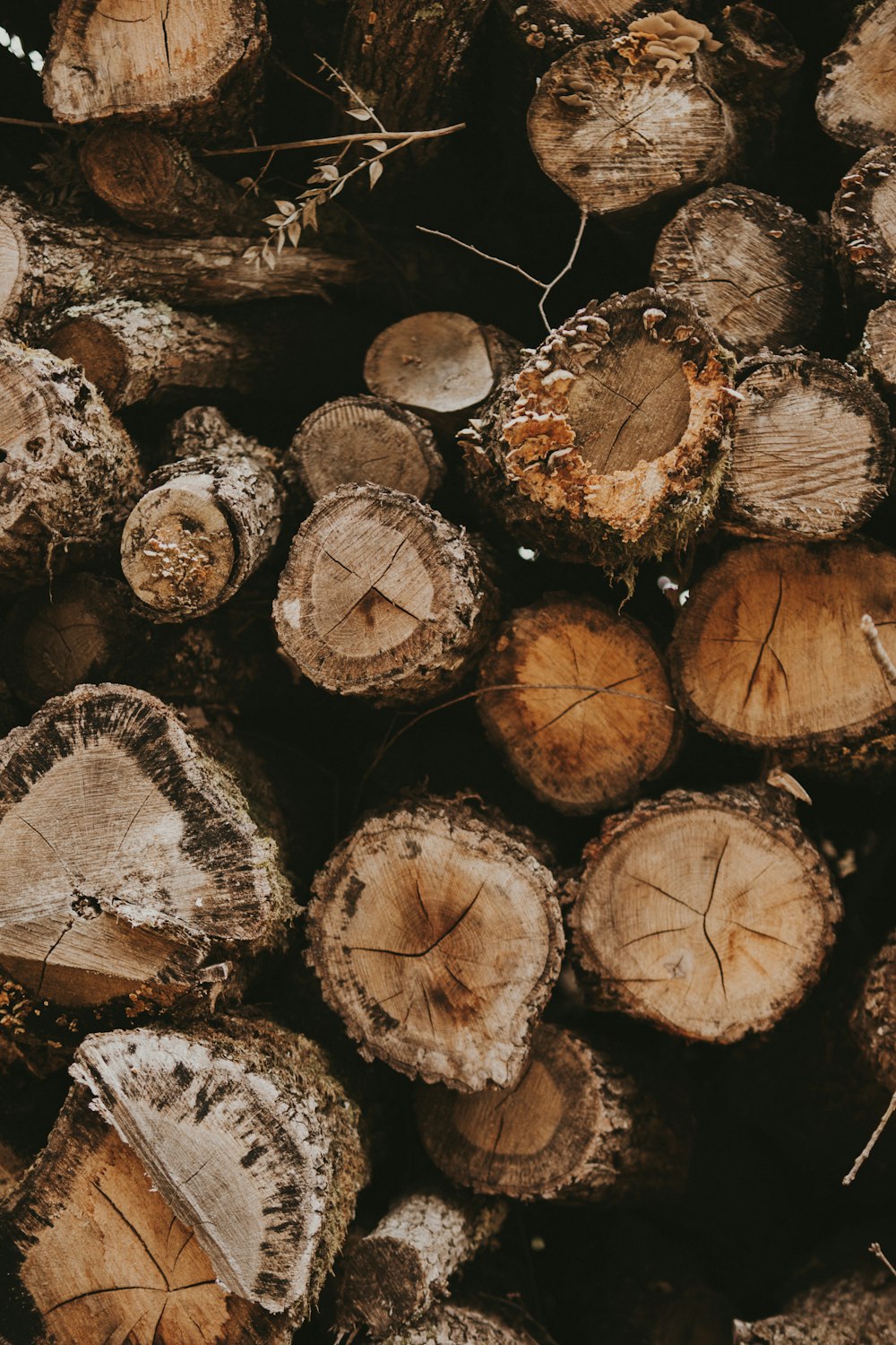 a pile of cut up wood sitting next to each other