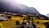 A picturesque landscape featuring vineyards stretching across a valley, bordered by a line of mountains in the distance. The sunlight filters through the clouds, casting soft highlights on the foliage. A cluster of buildings with terracotta roofs sits at the edge of the vineyards, surrounded by lush greenery and autumnal trees.