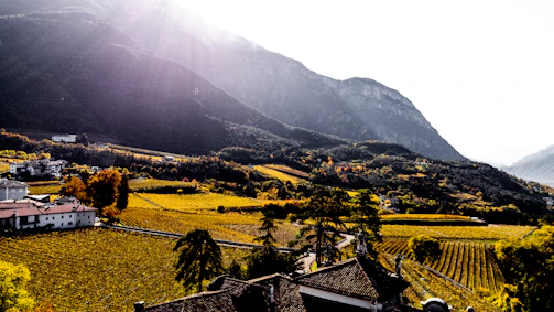 A picturesque landscape featuring vineyards stretching across a valley, bordered by a line of mountains in the distance. The sunlight filters through the clouds, casting soft highlights on the foliage. A cluster of buildings with terracotta roofs sits at the edge of the vineyards, surrounded by lush greenery and autumnal trees.