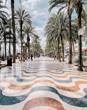 a street lined with palm trees next to a sidewalk