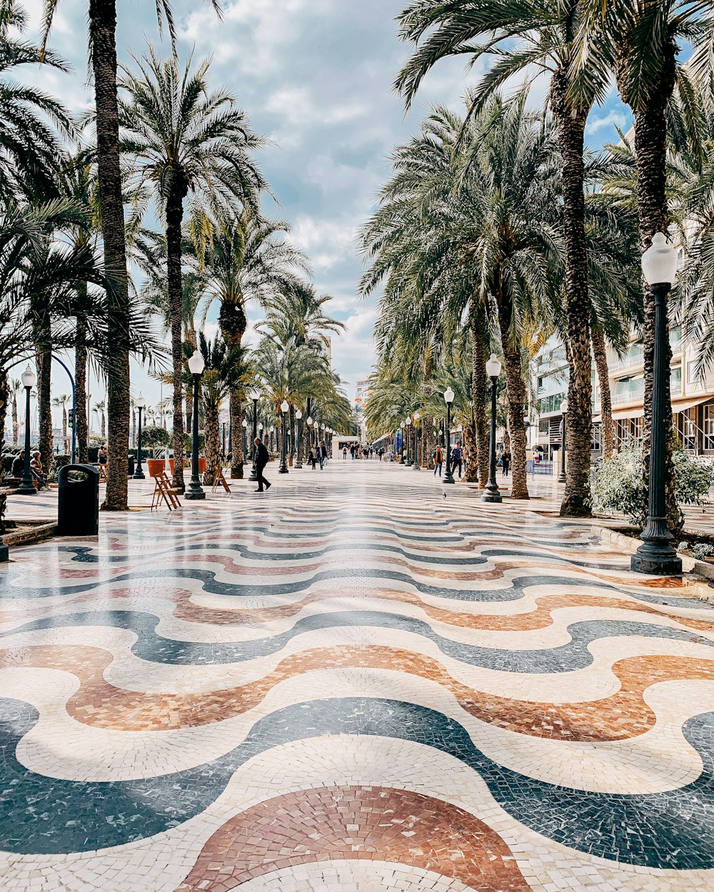 a street lined with palm trees next to a sidewalk