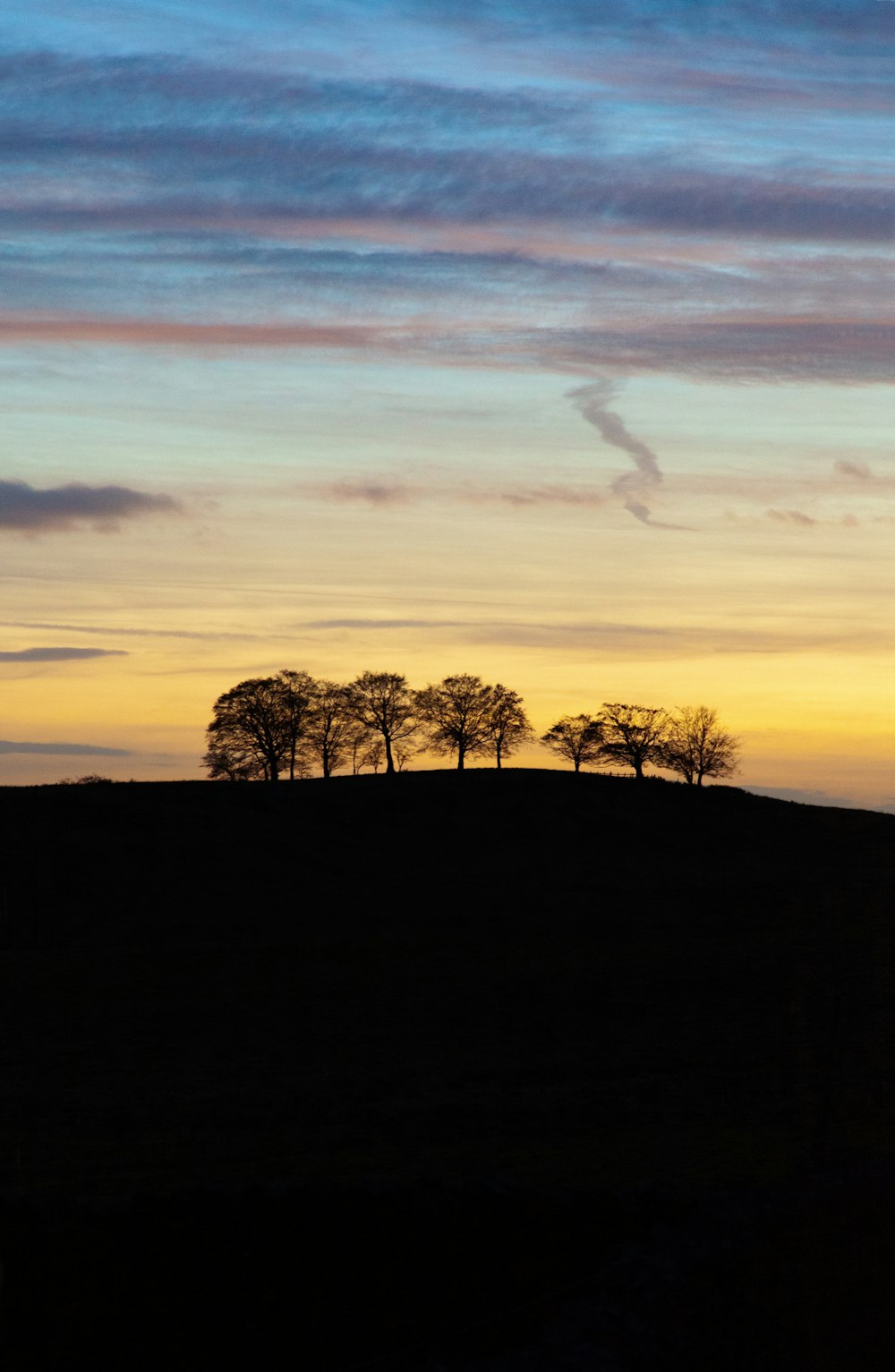 a group of trees sitting on top of a hill