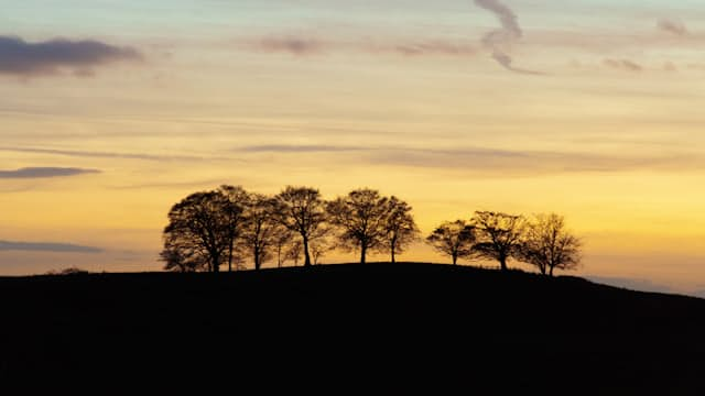 Mound