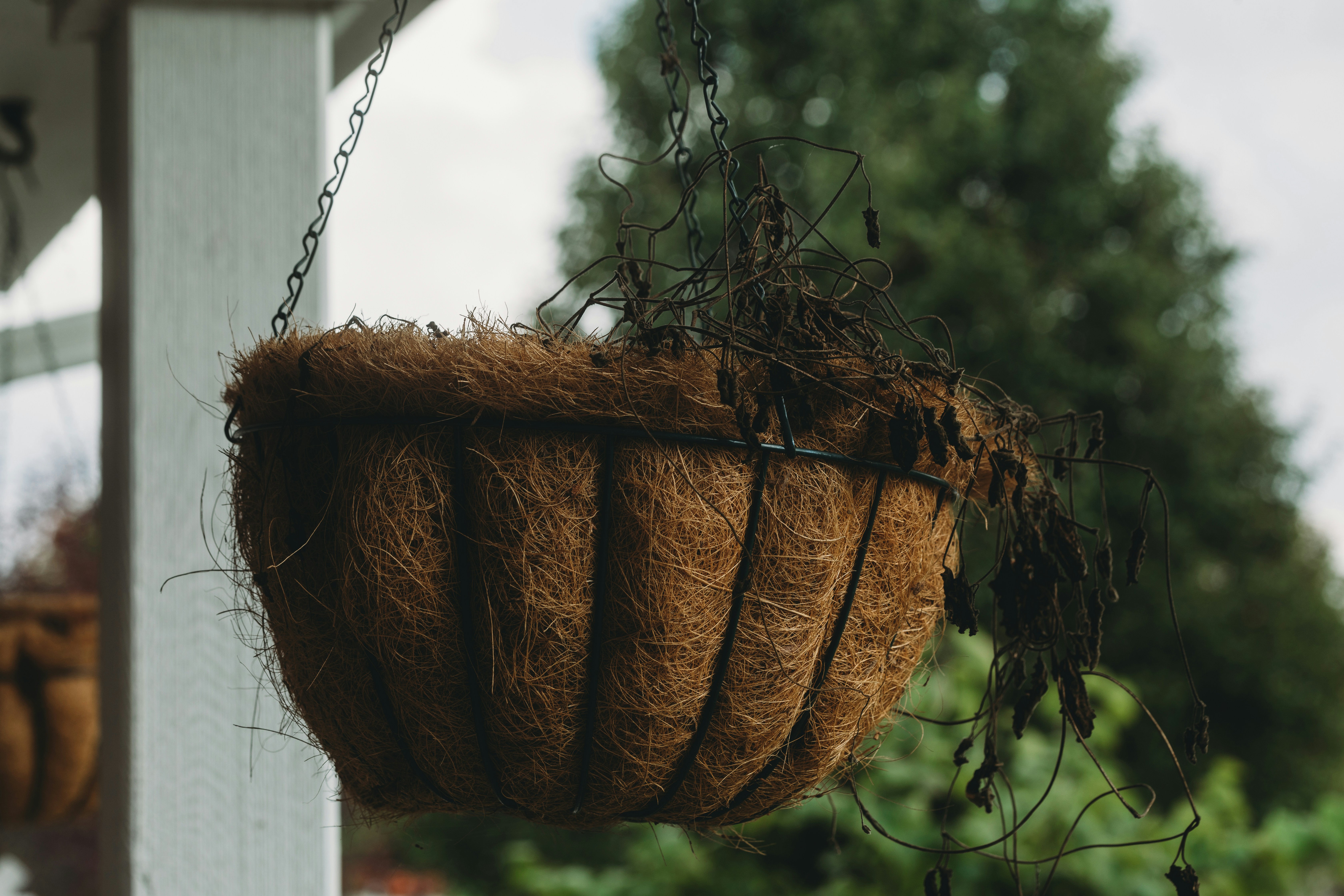 Photo by stevenvanelk