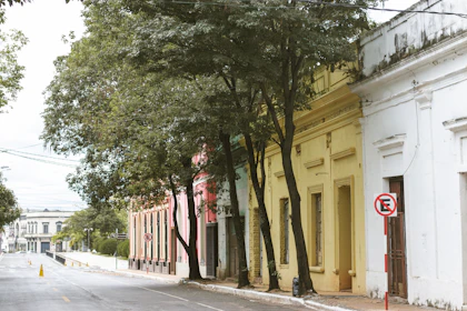 Rua arborizada de bairro residencial em Assunção