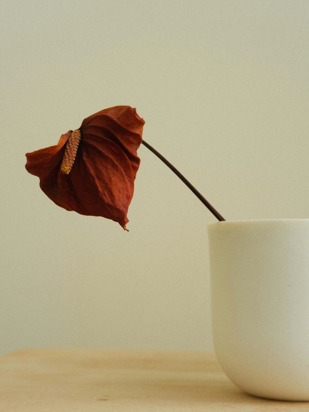 테이블에 하얀 컵에 하나의 꽃