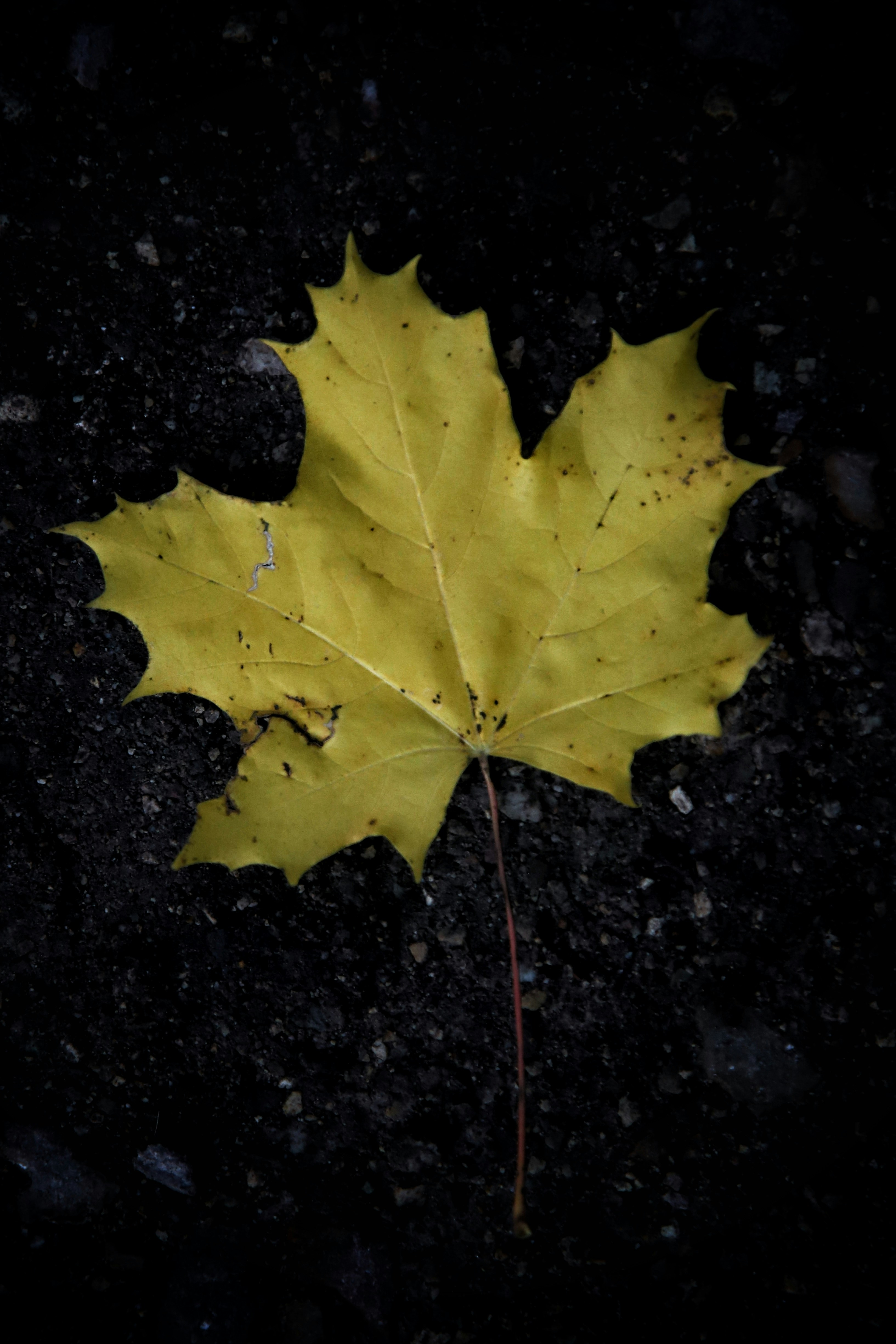 Photo by hdbernd