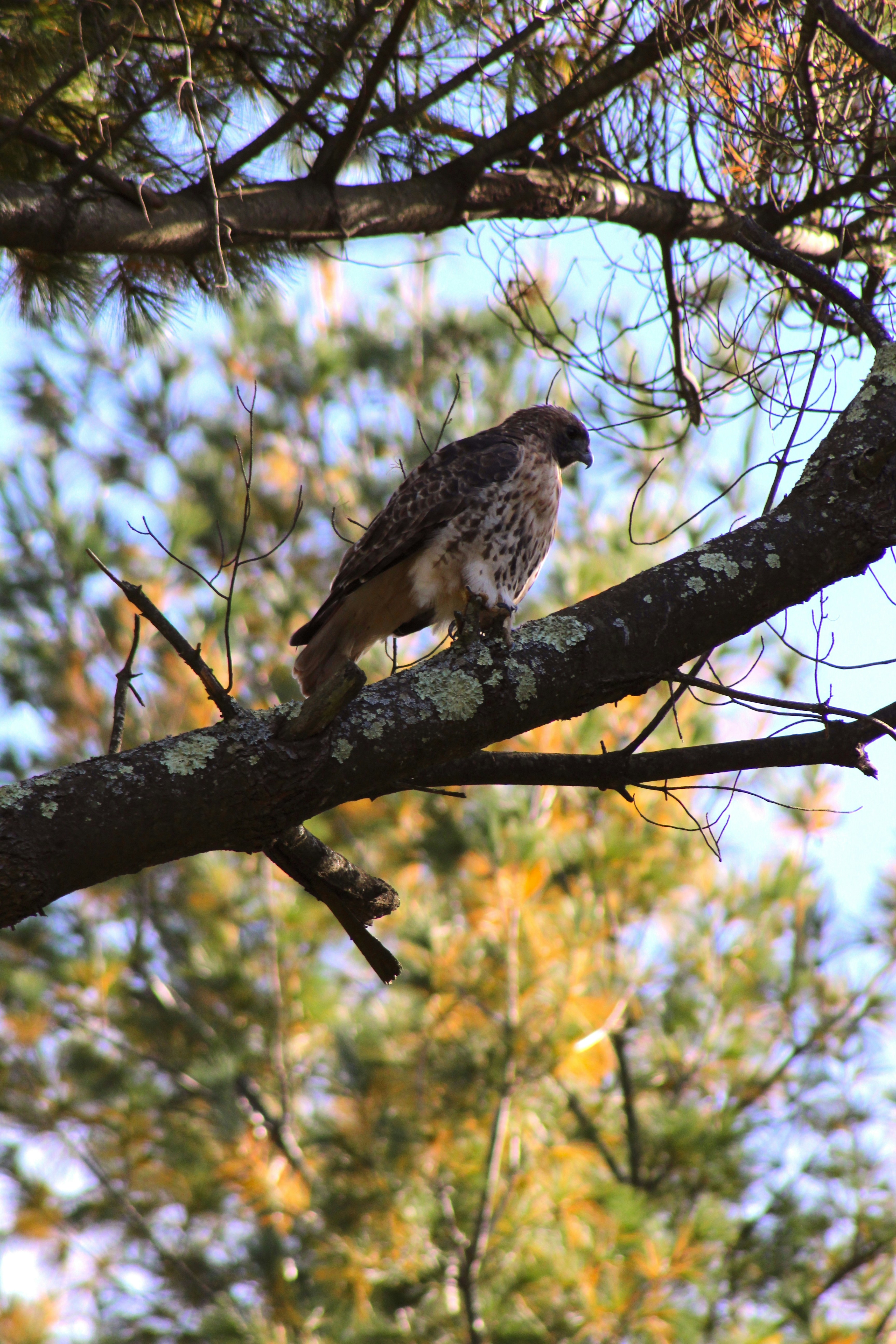 Photo by gwendolynkwong