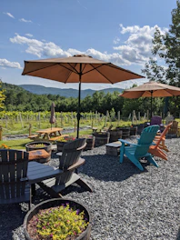 Cozy outdoor seating area overlooking lush Sonoma vineyards at sunset.