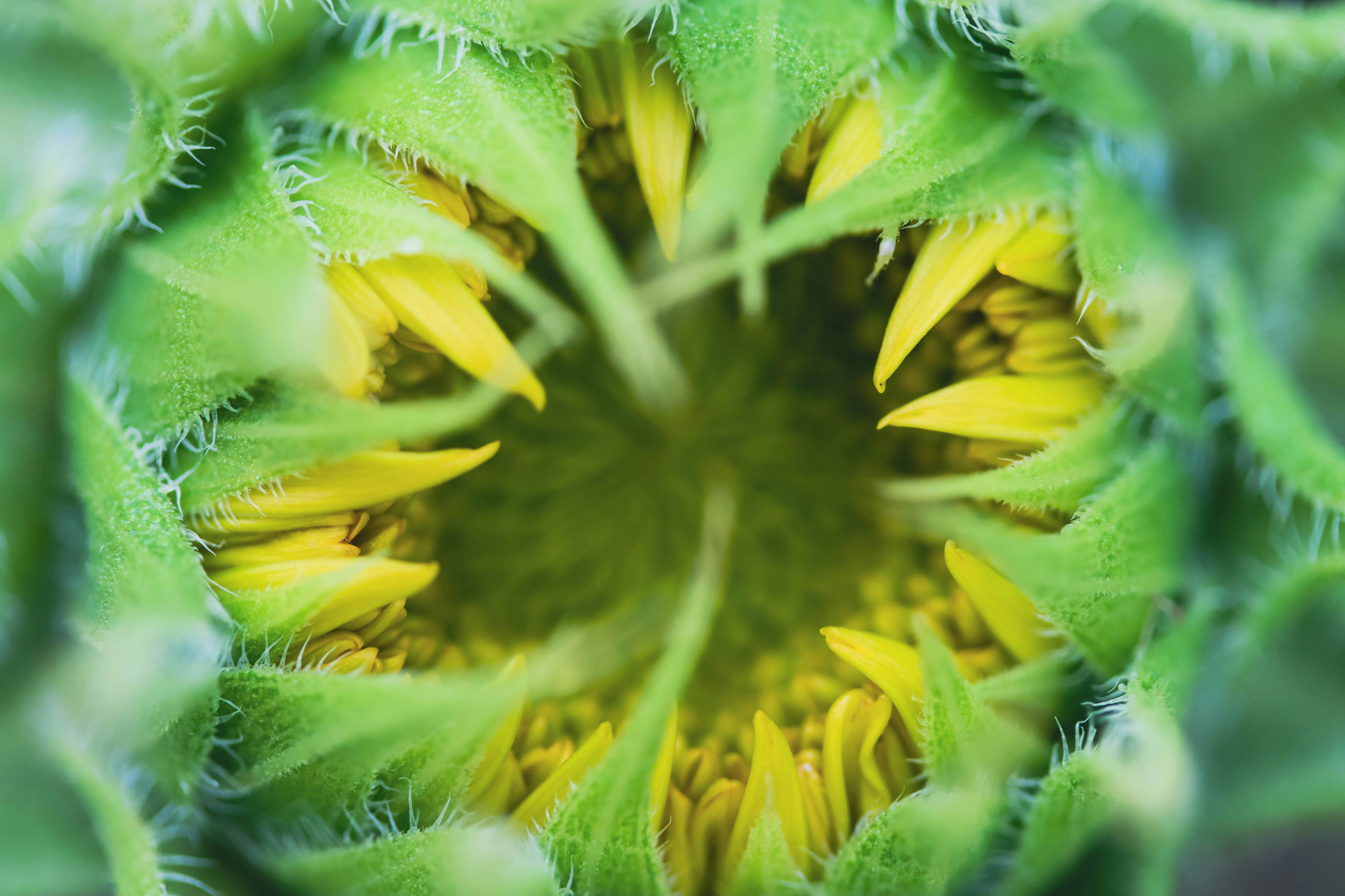 Photo by _chloe_photo