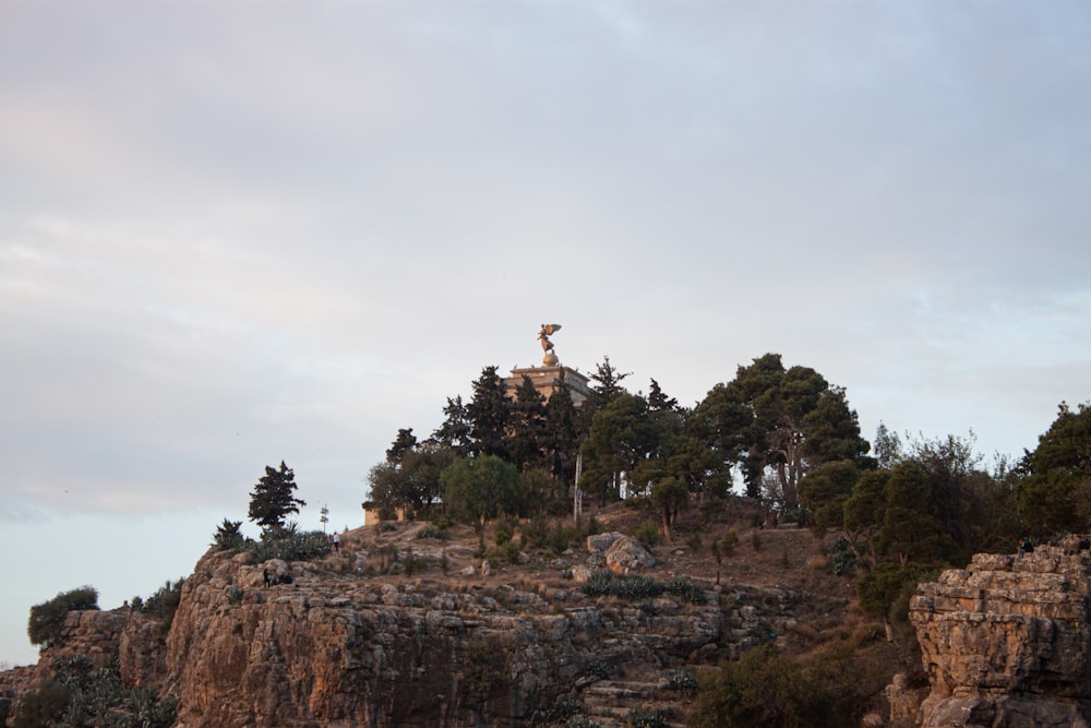 a hill with trees on top of it