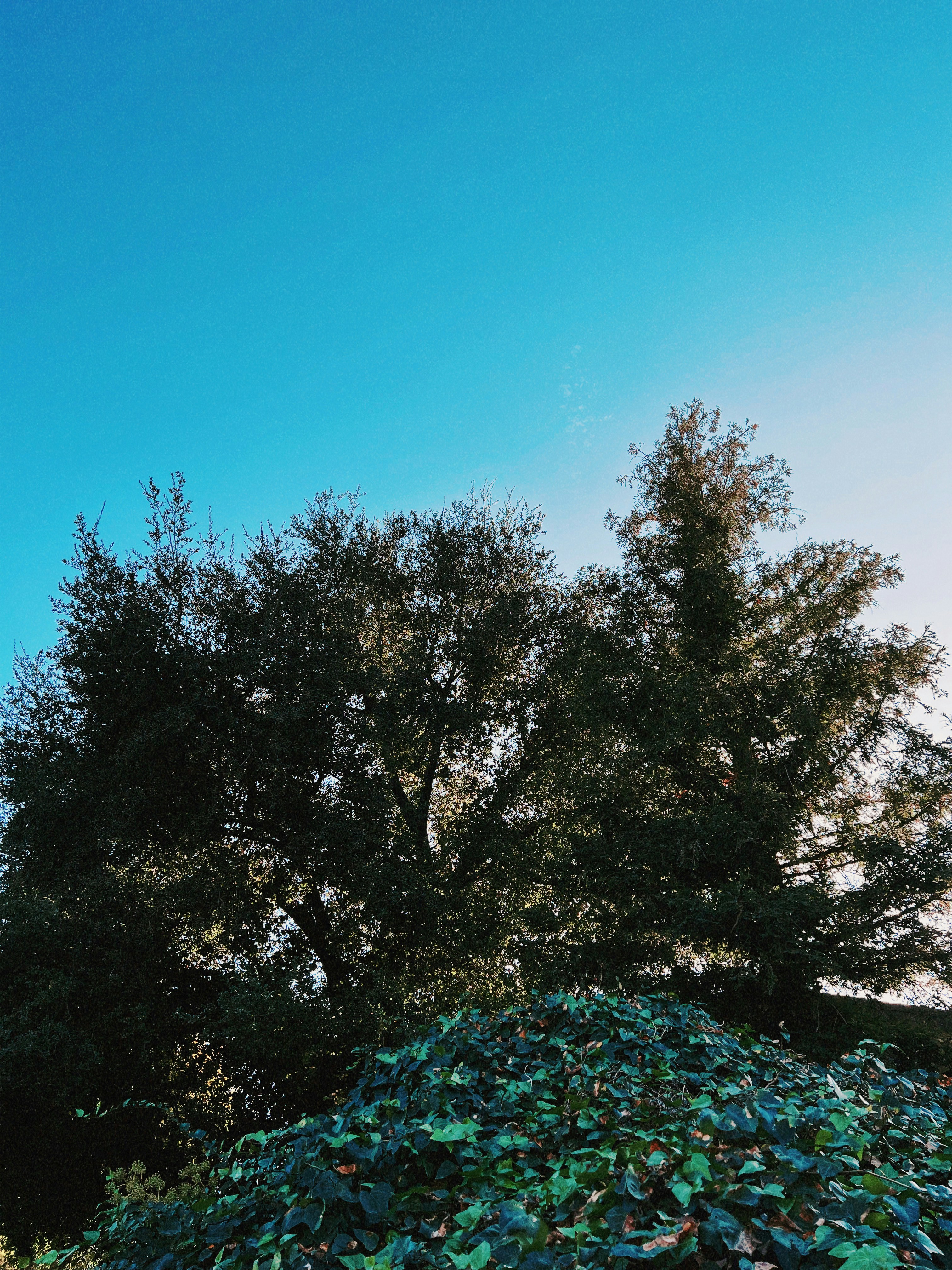 Photo by _nickwright_