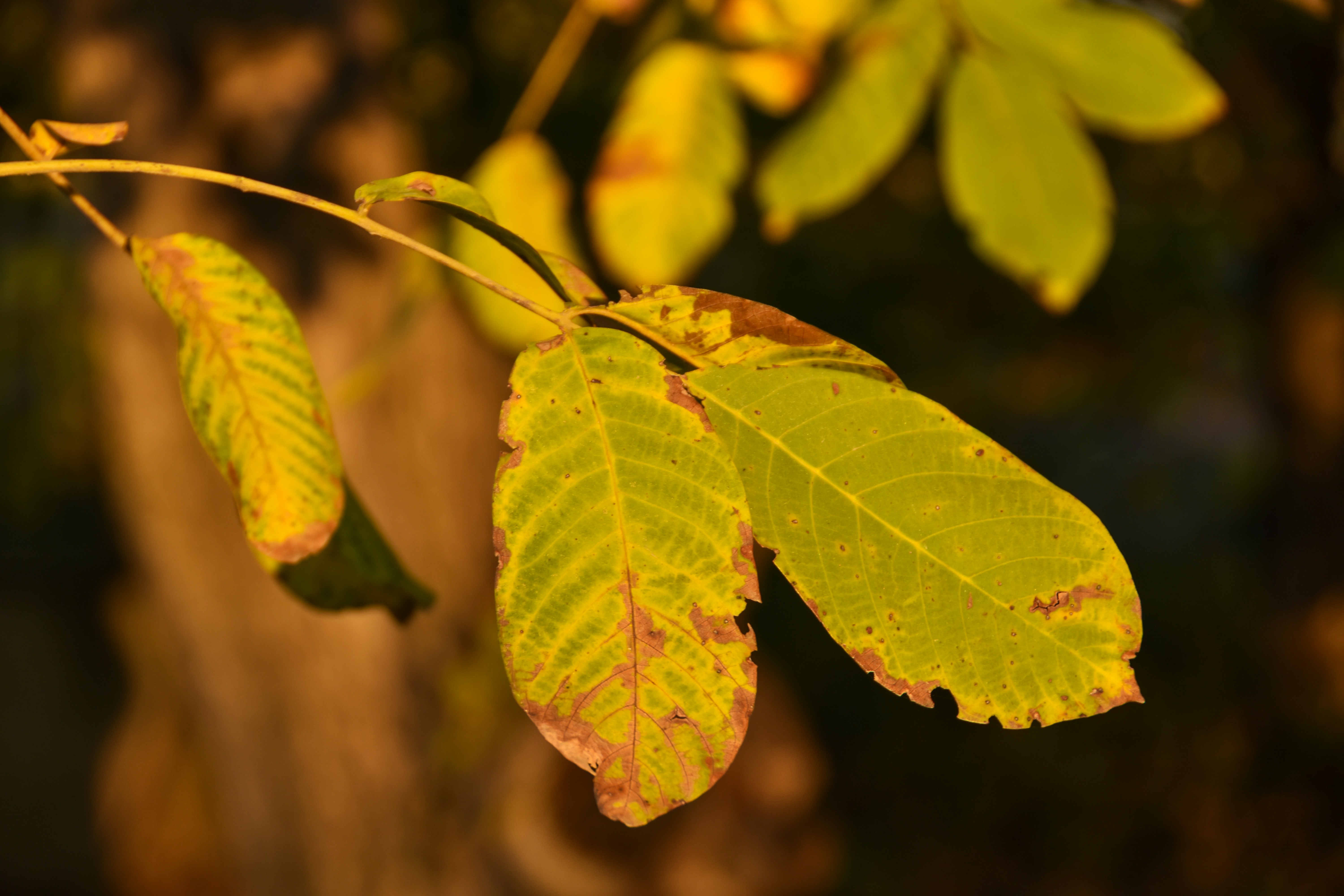 Photo by motaztawfik