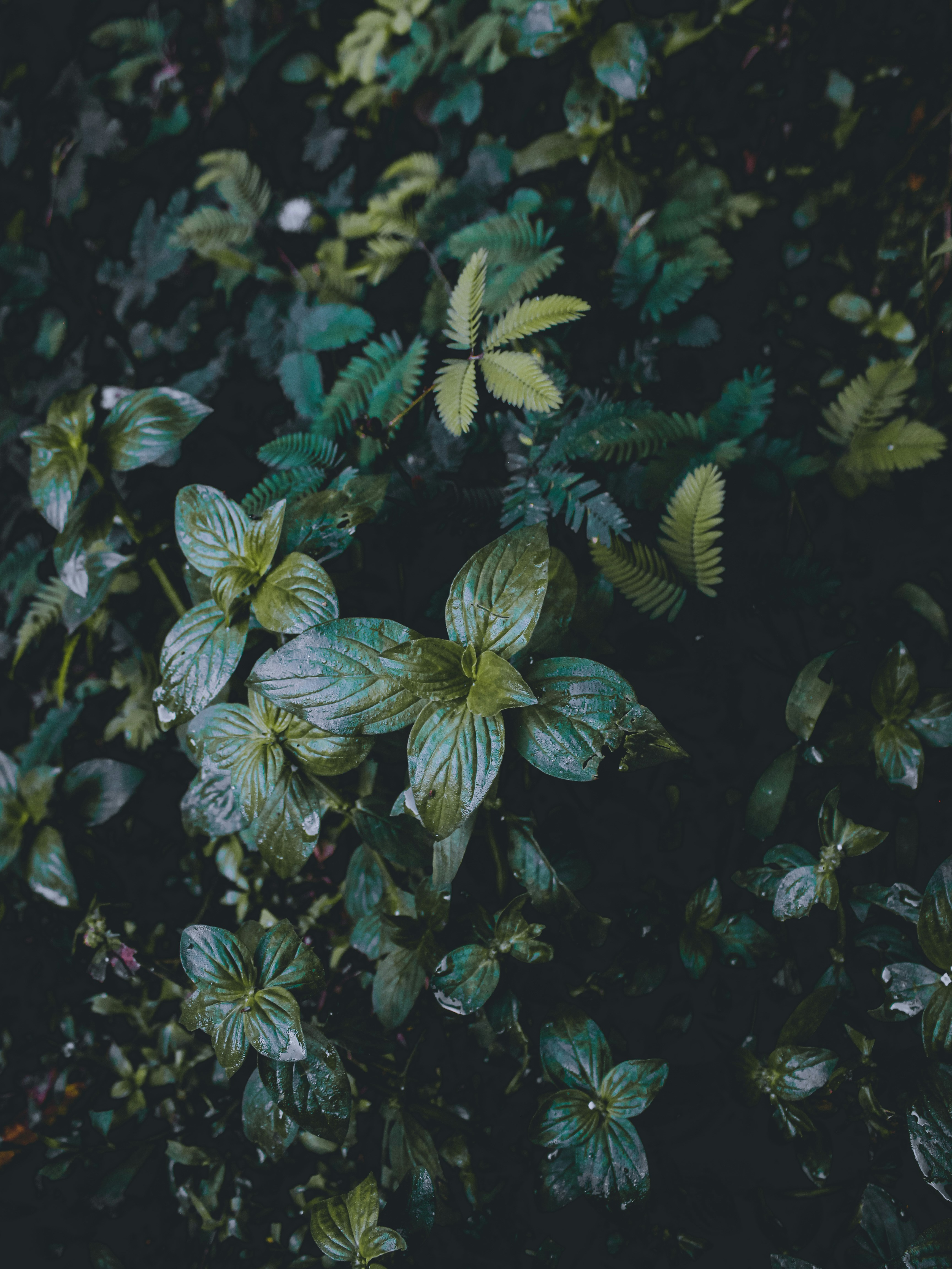 Photo by nuralamsyah