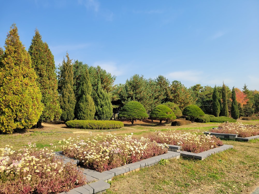 a park with a lot of trees and flowers