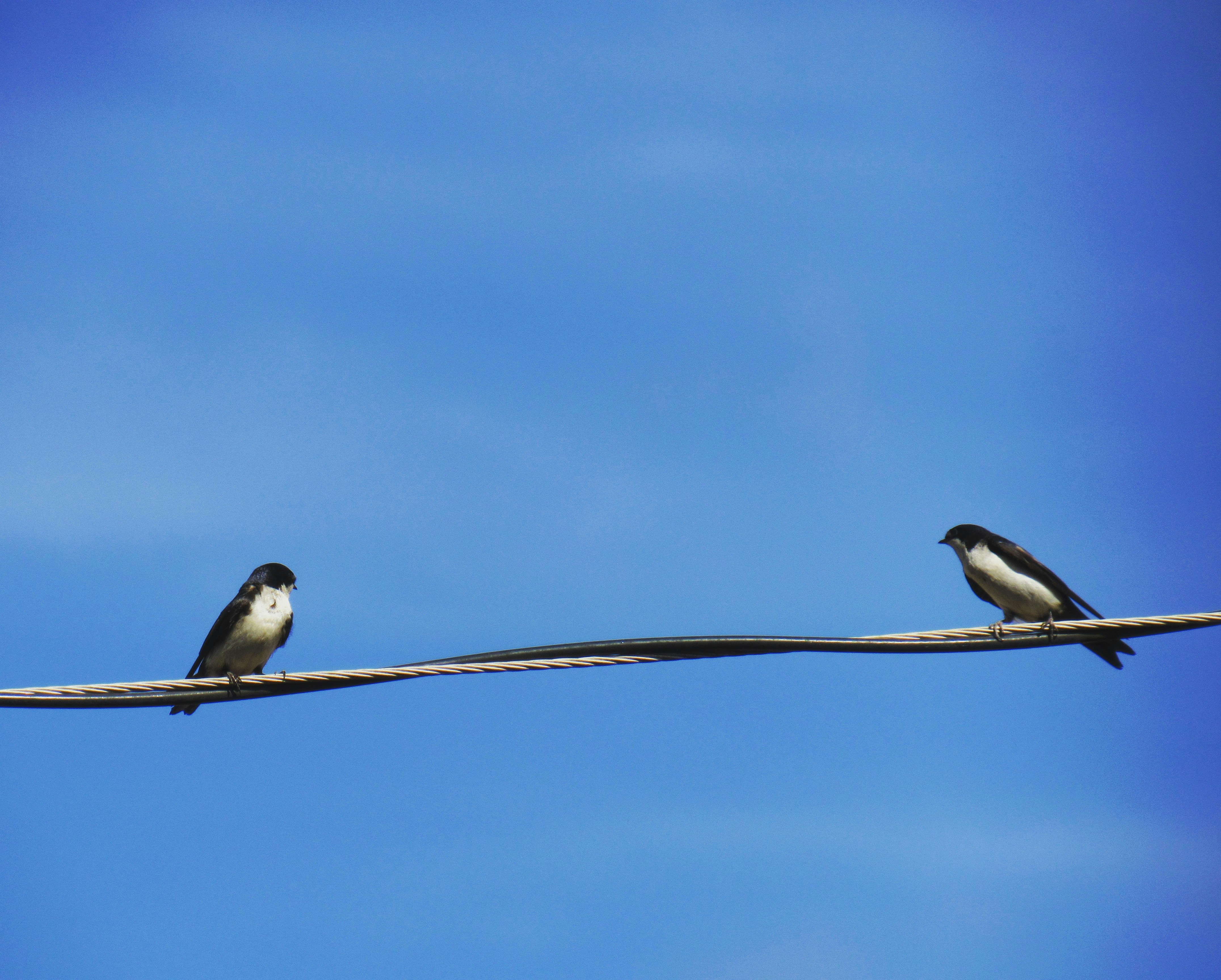 Photo by giustoluana