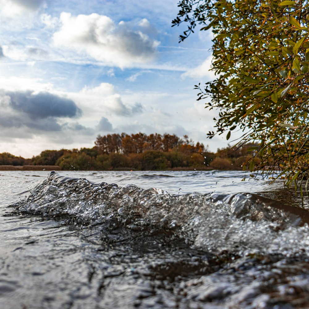 a body of water with trees in the background