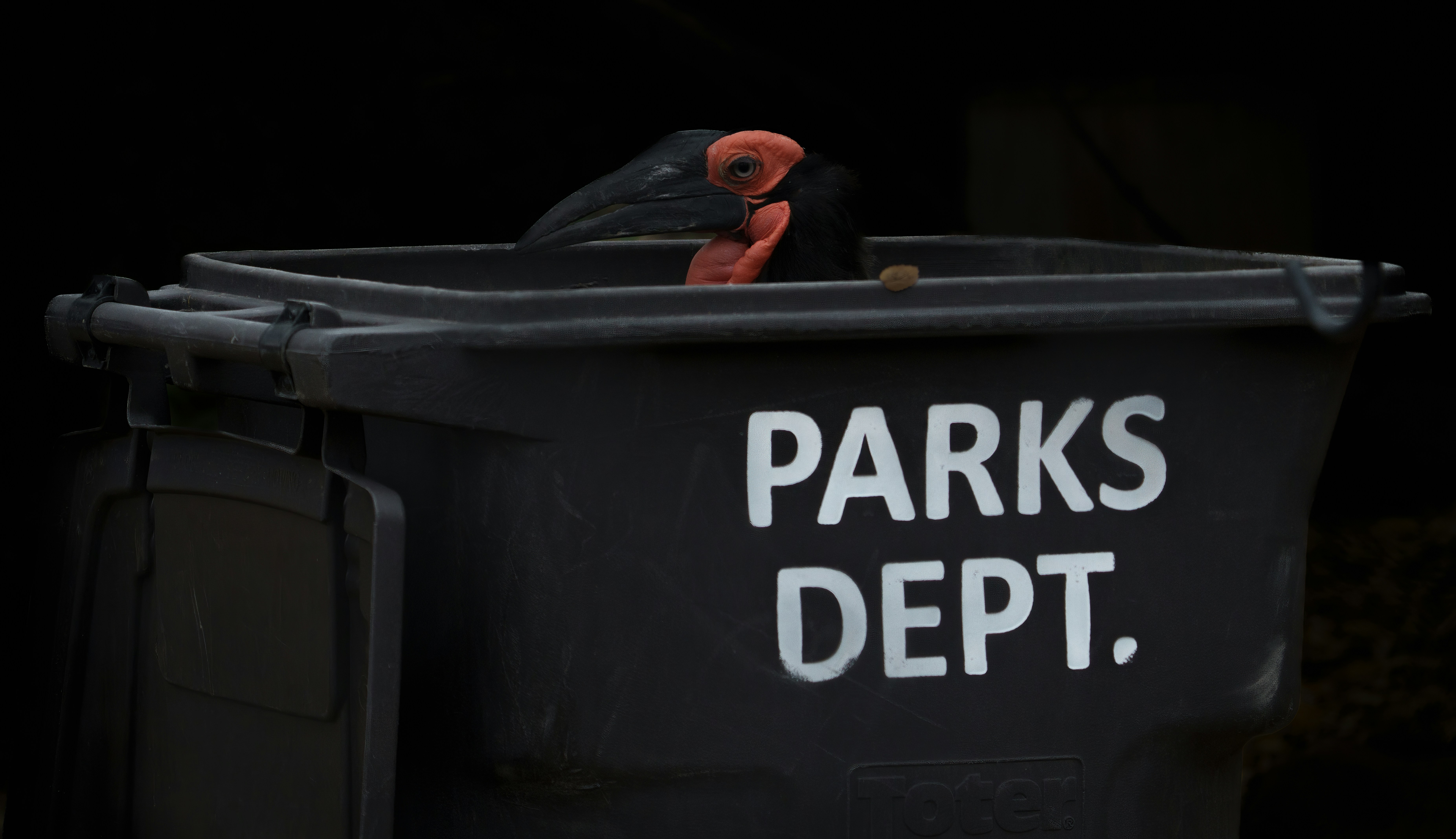a close up of a trash can with a chicken in it